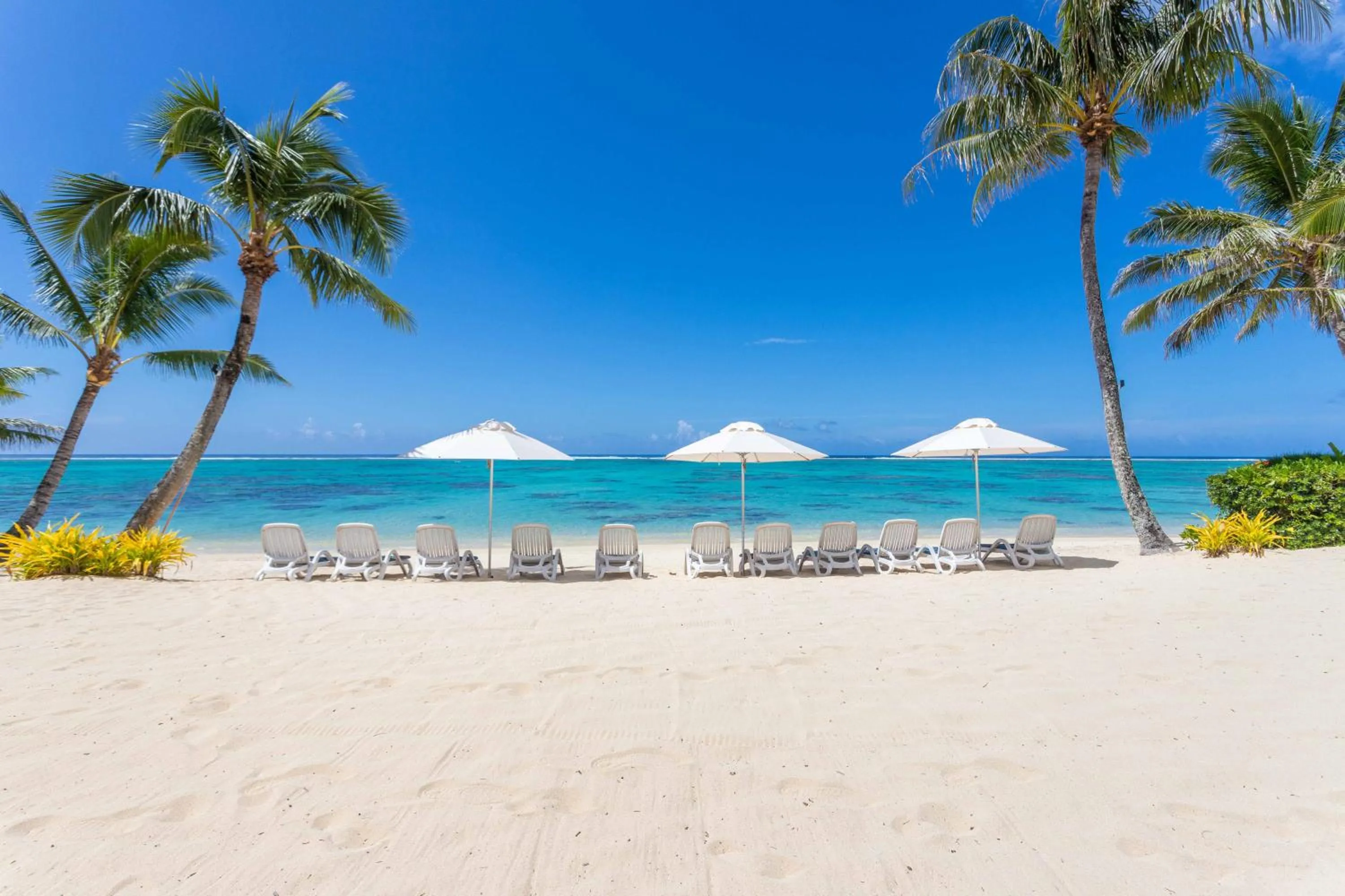 Beach in Moana Sands Beachfront Hotel