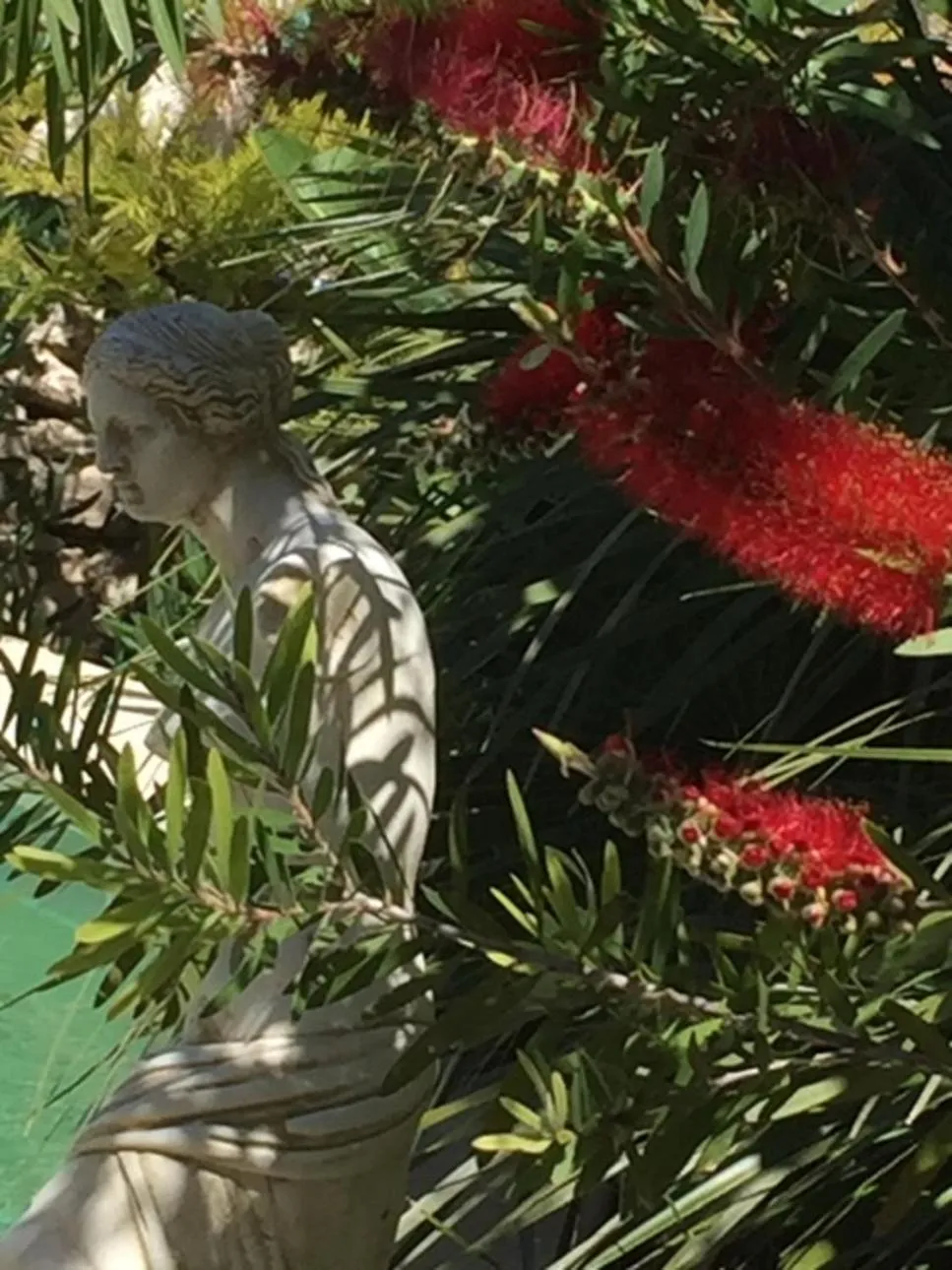 Garden in O'palmier Caché