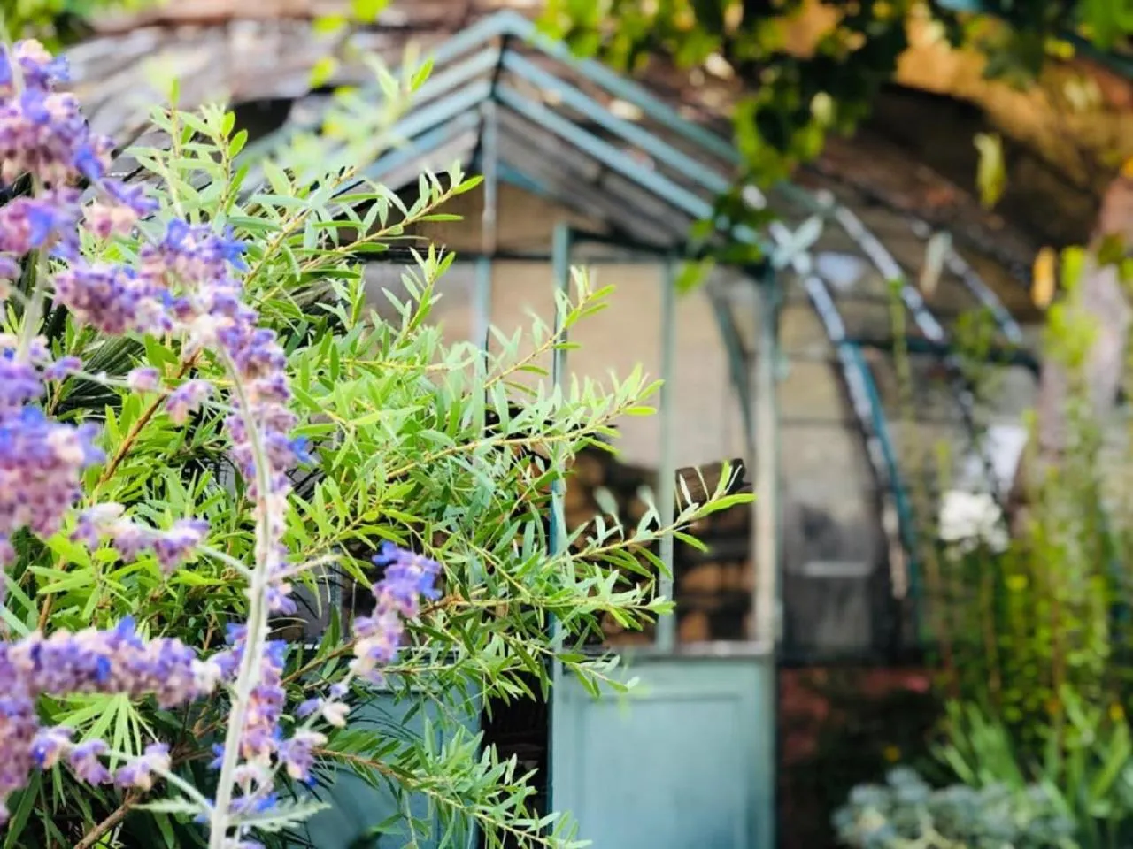 Garden in O'palmier Caché