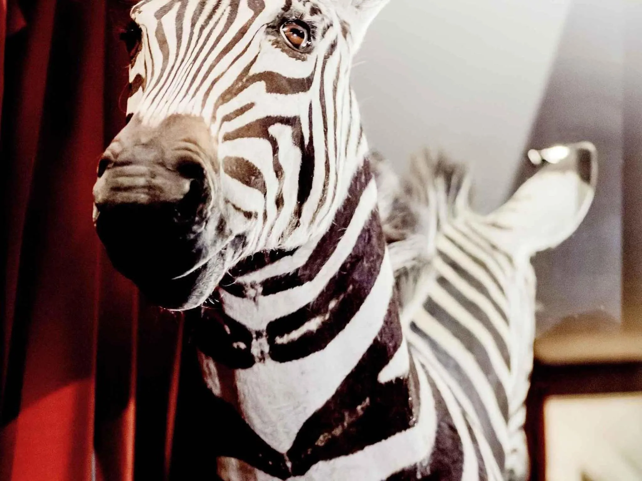 Lounge or bar in Park Hotel Grenoble - MGallery Collection