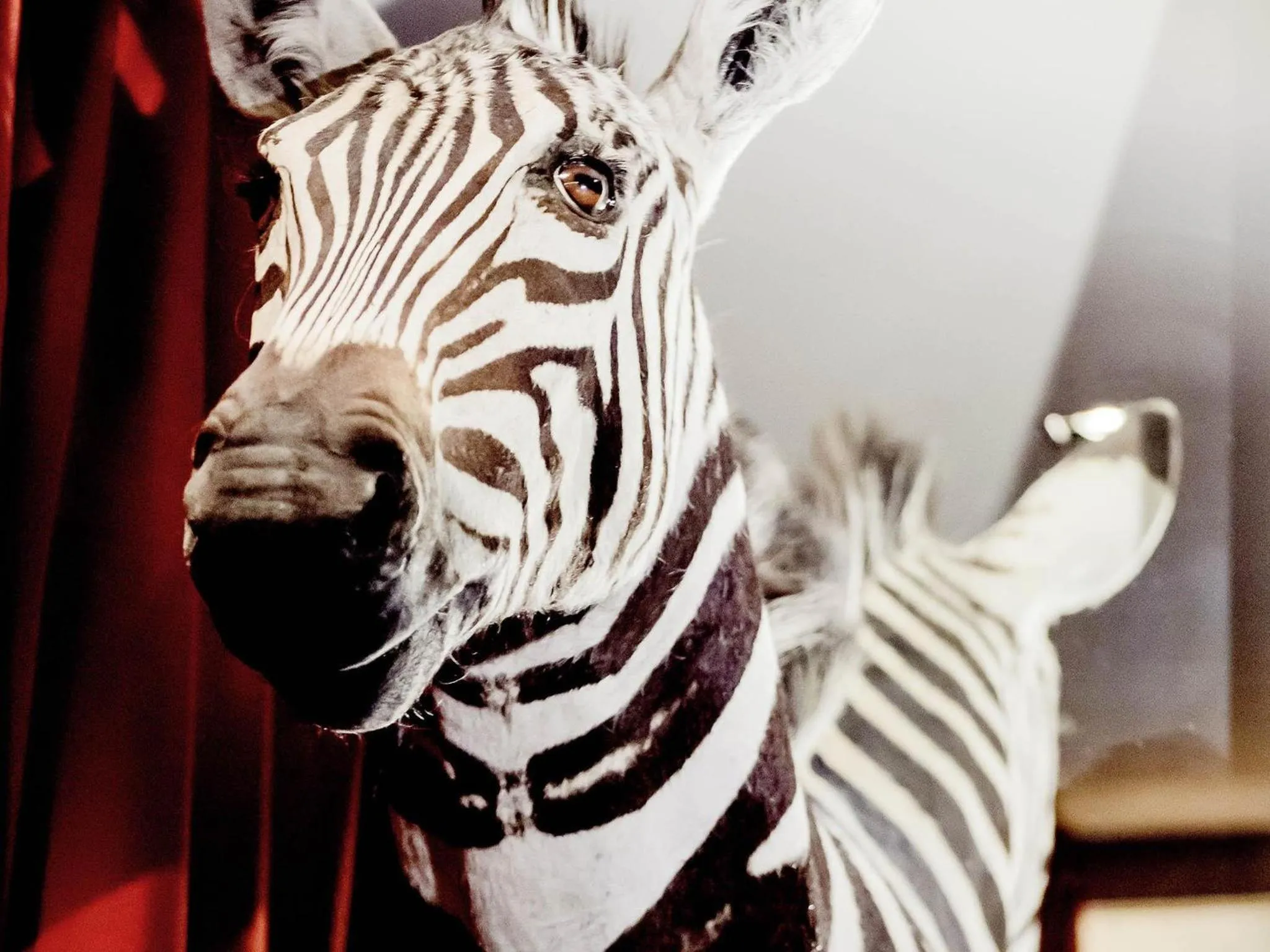 Lounge or bar in Park Hotel Grenoble - MGallery Collection