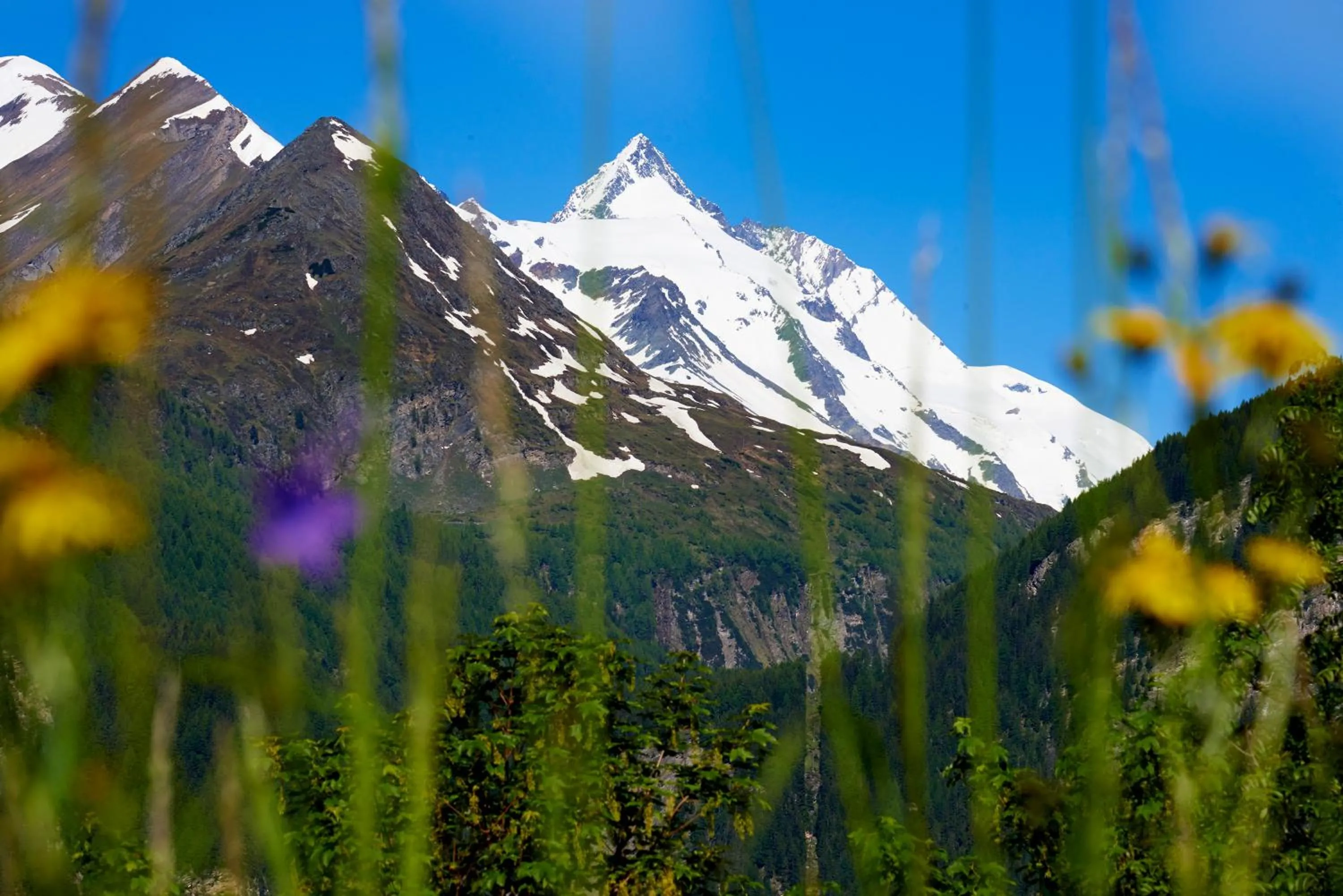 Natural landscape in Landhotel Post