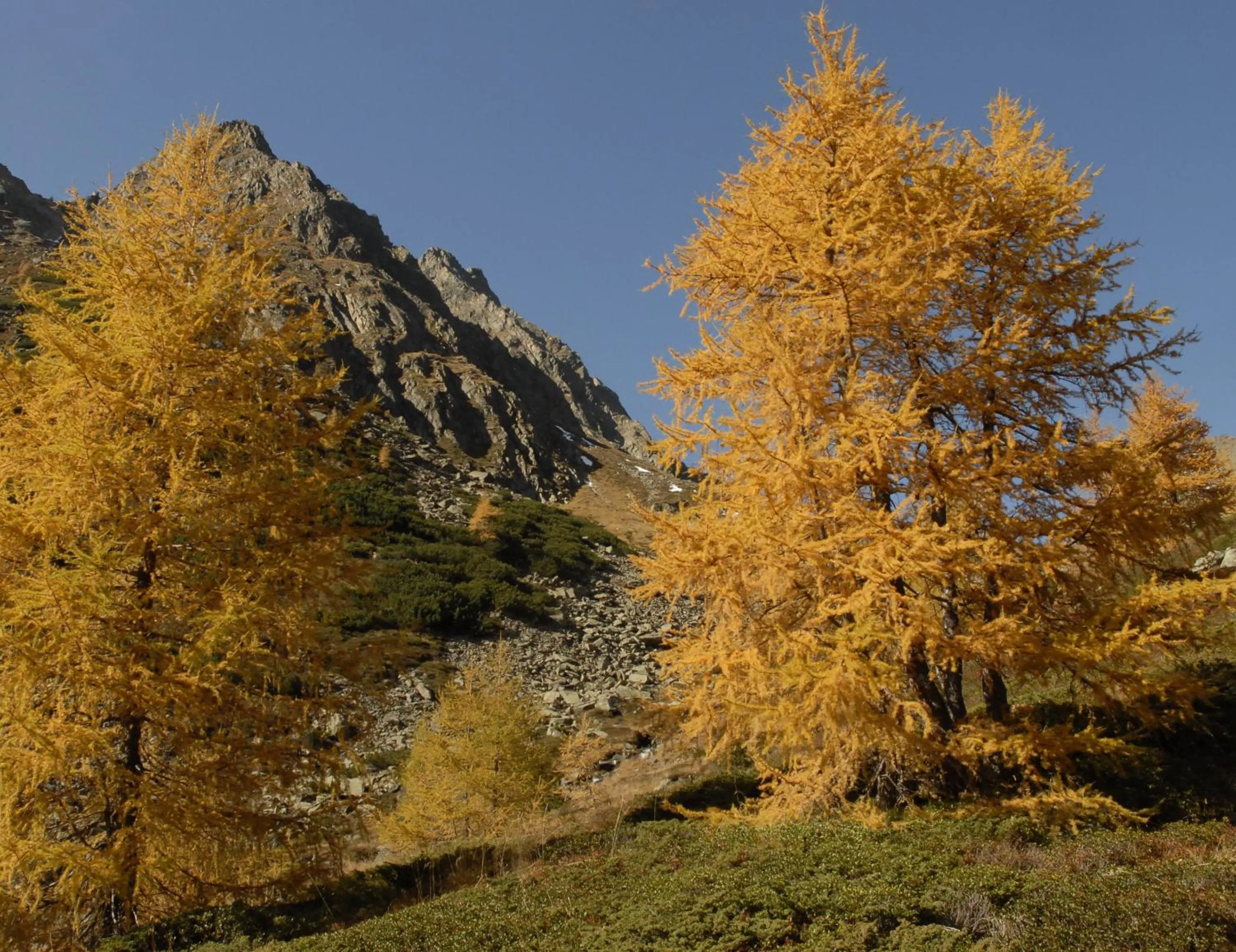 Natural landscape in Landhotel Post