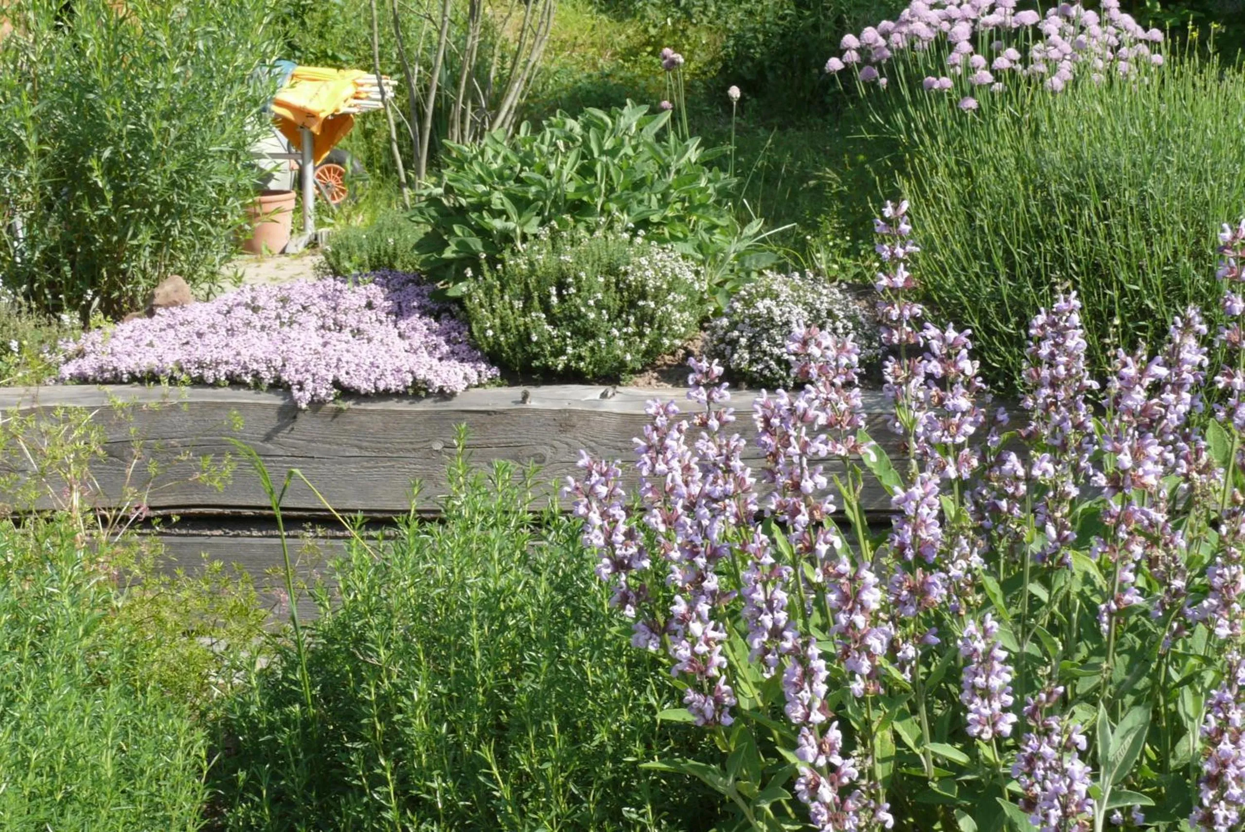 Summer in Landgrafen-Mühle