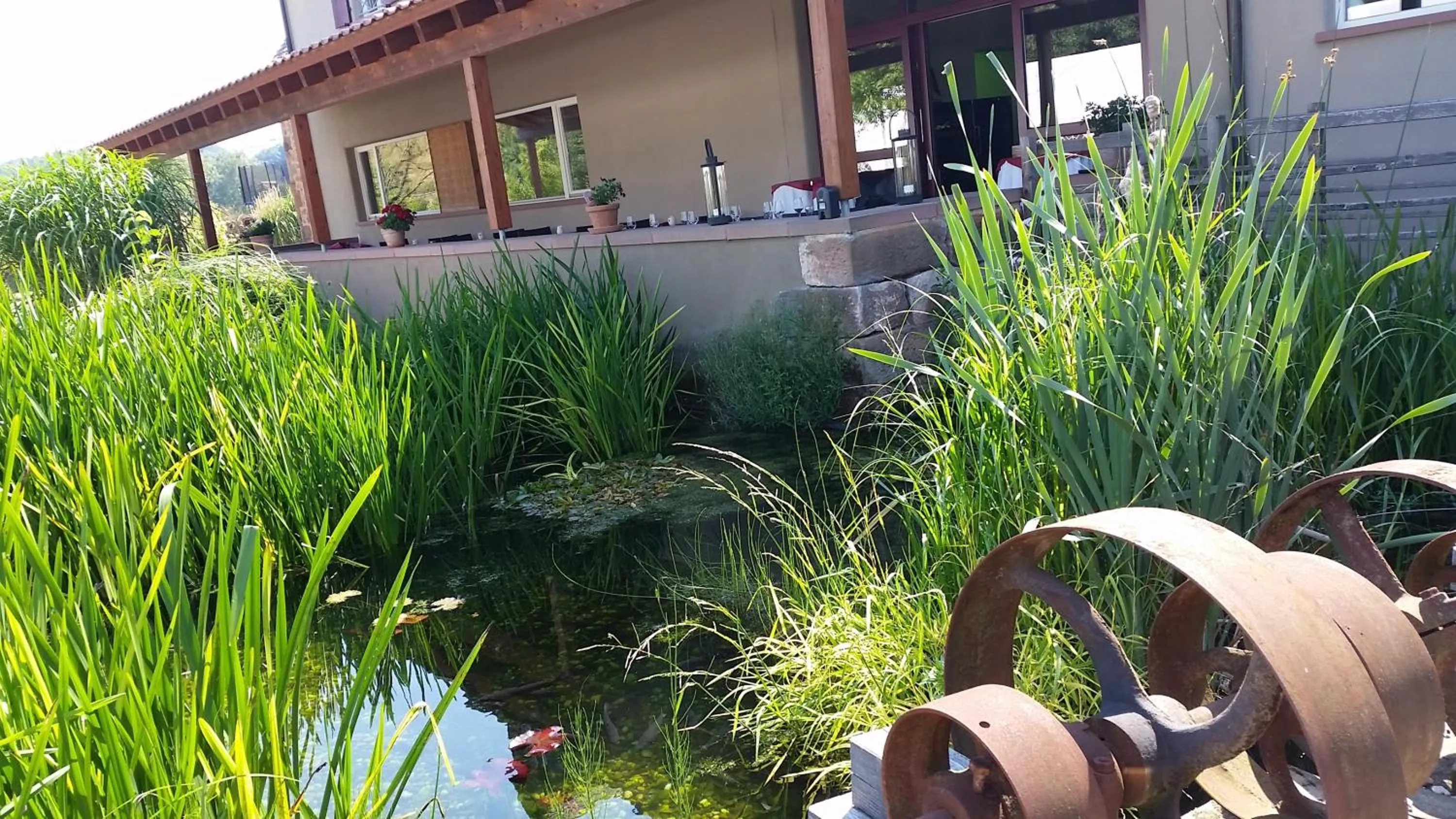 Restaurant/places to eat in Landgrafen-Mühle