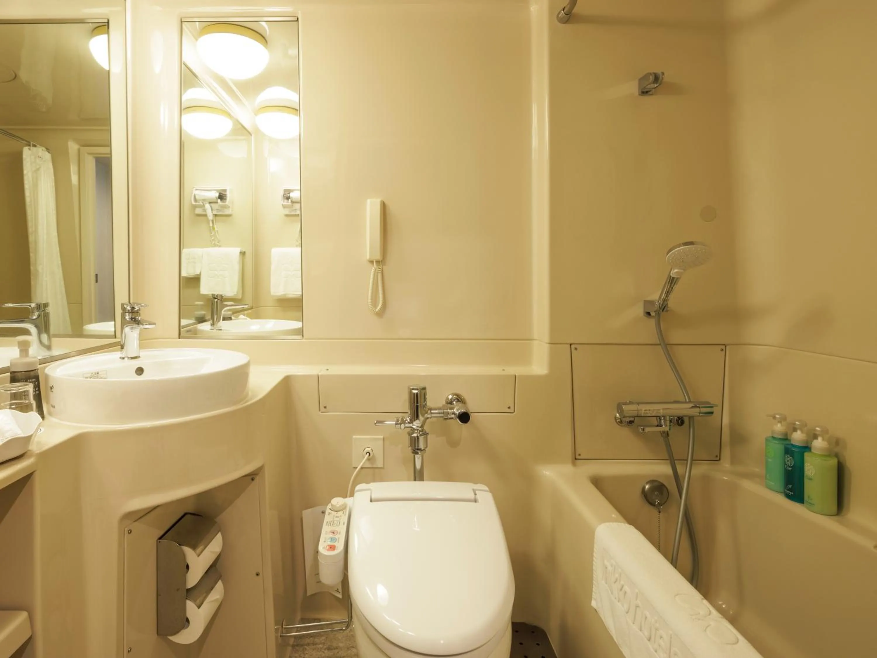 Bathroom in Hotel Nikko Narita