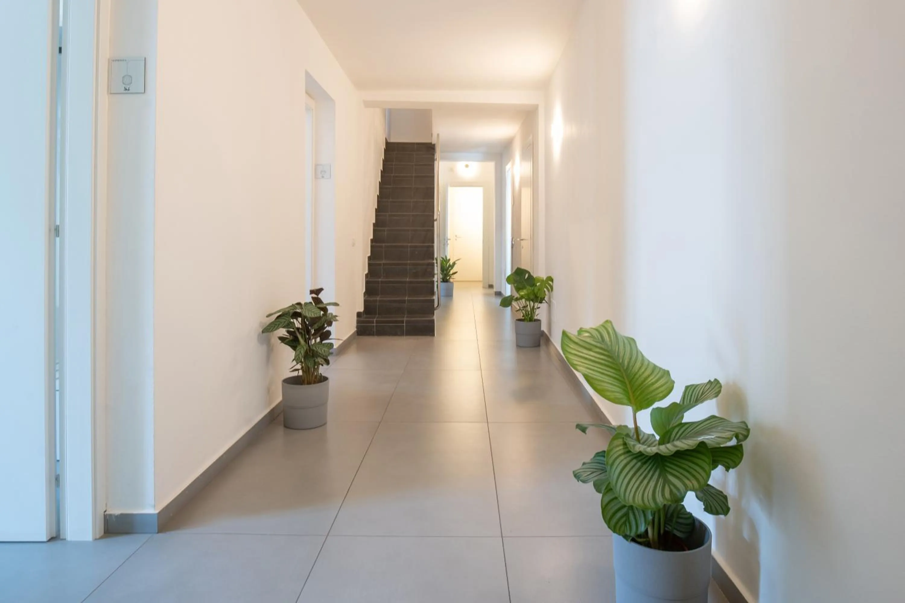 Lobby or reception in Suite Inn Catania