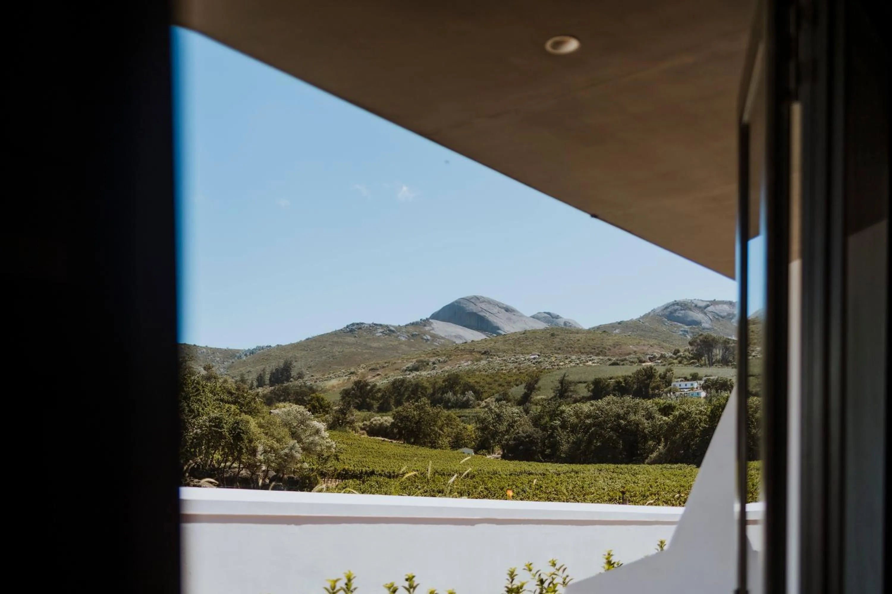 Day in Laborie Estate