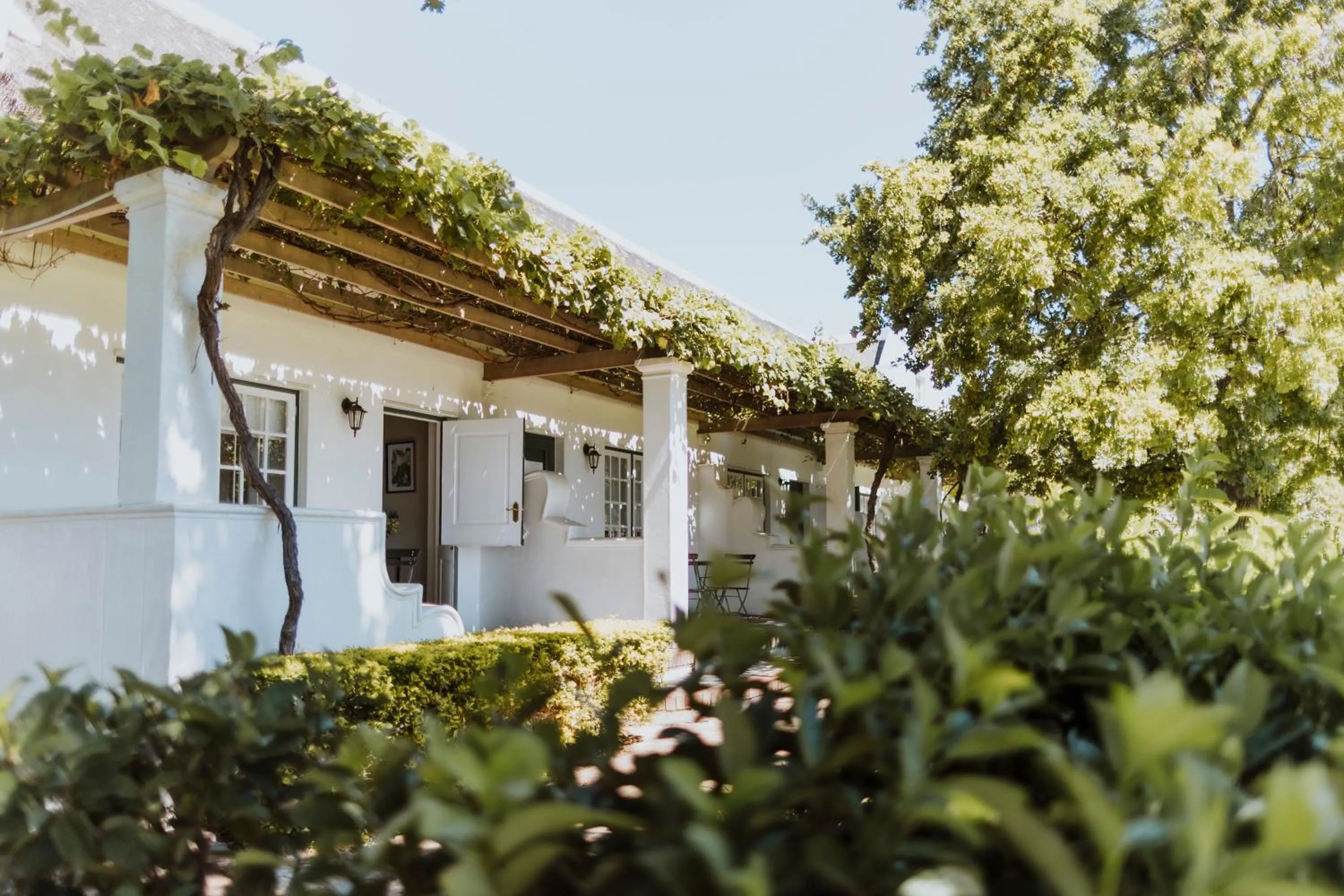 Garden in Laborie Estate
