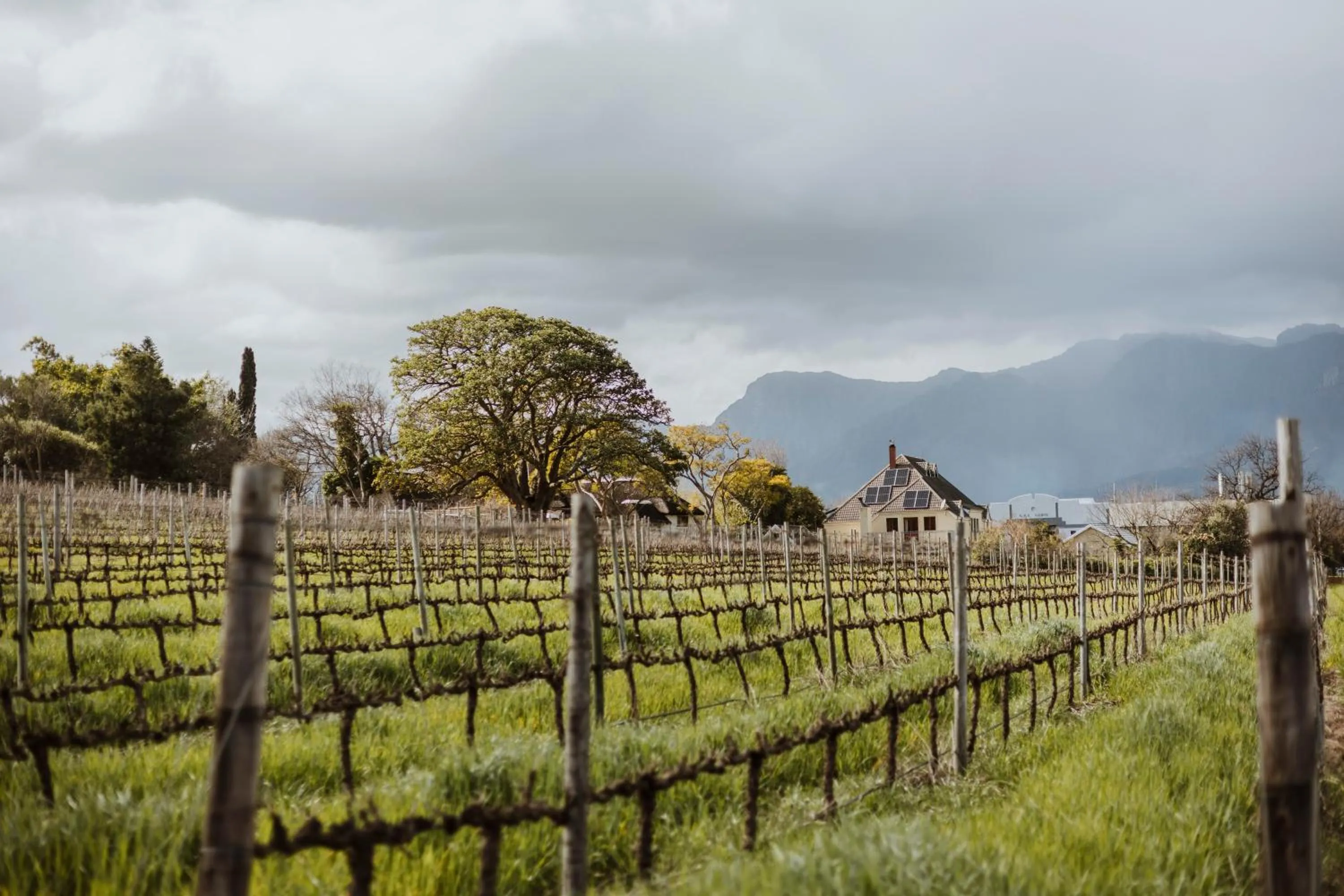 View (from property/room) in Laborie Estate