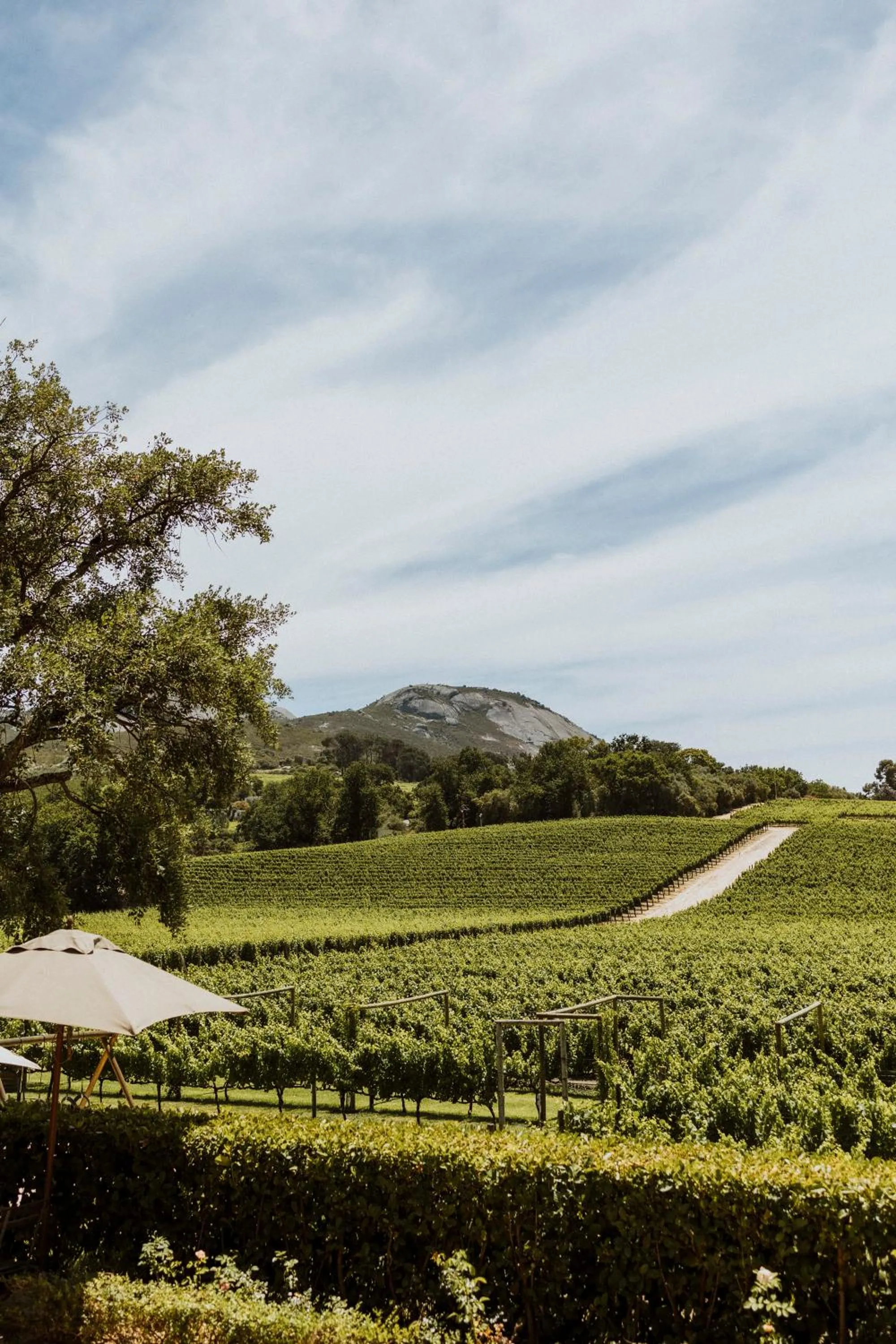 Day in Laborie Estate