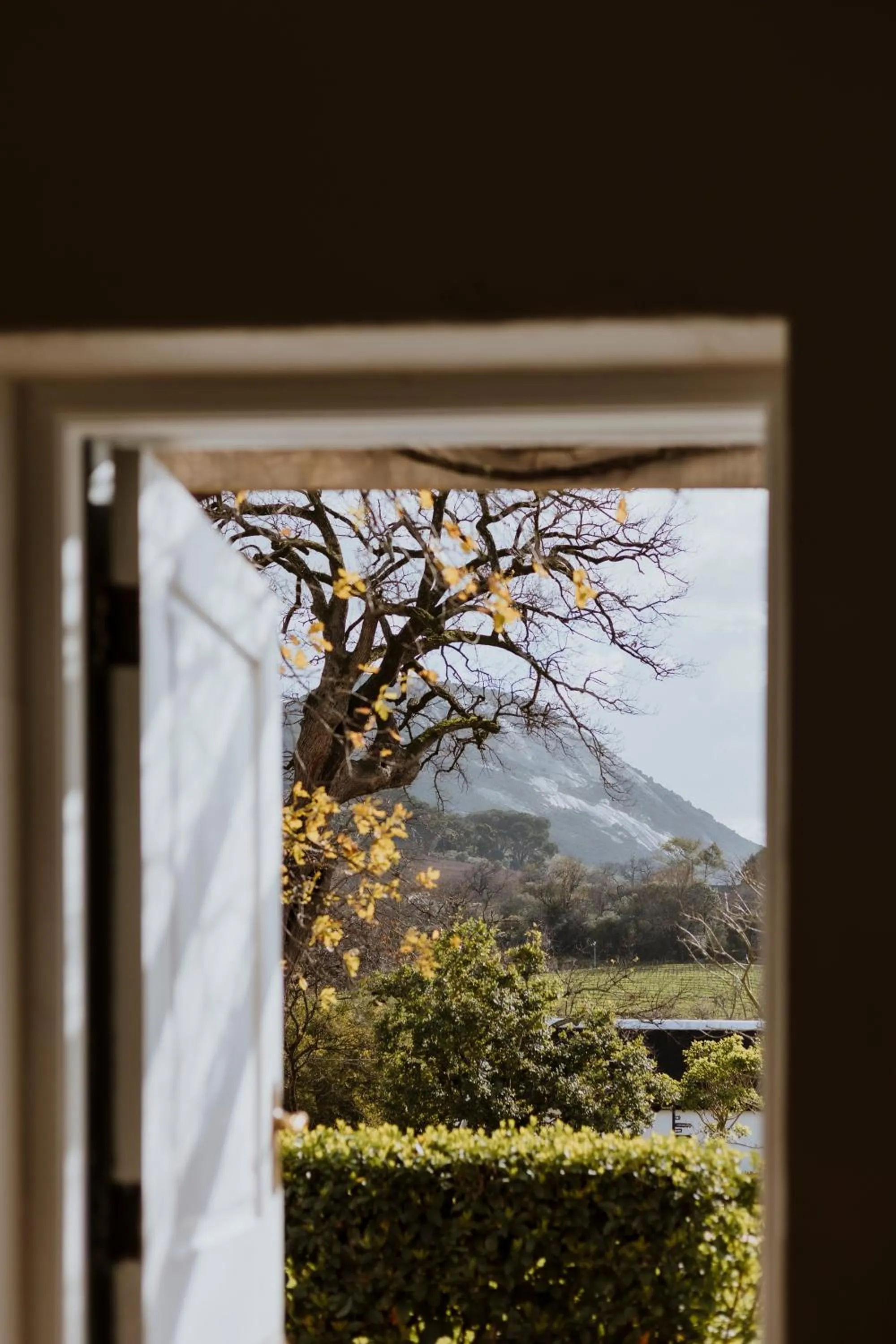 Garden in Laborie Estate