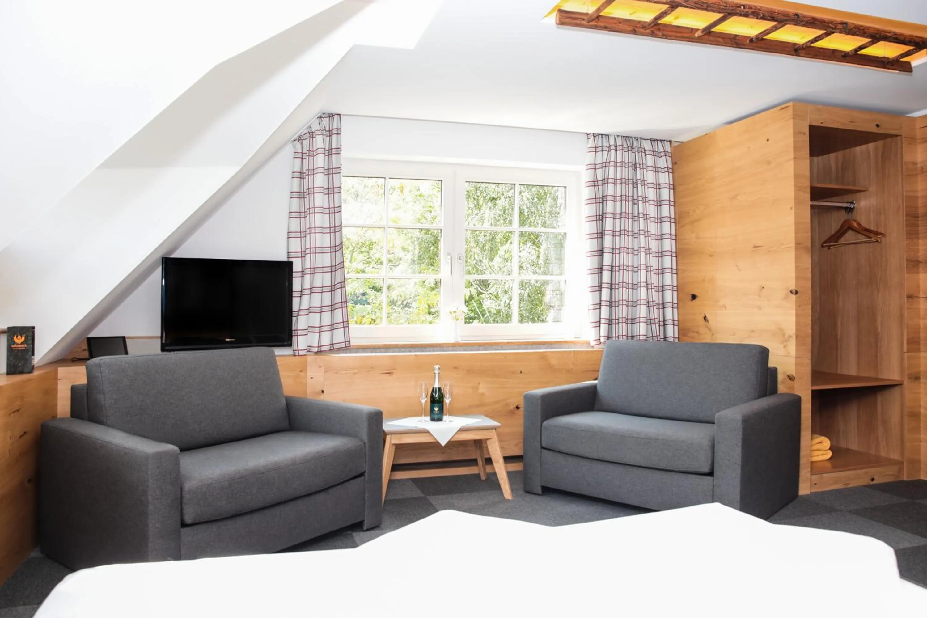 TV and multimedia in Hotel & Restaurant Waldblick