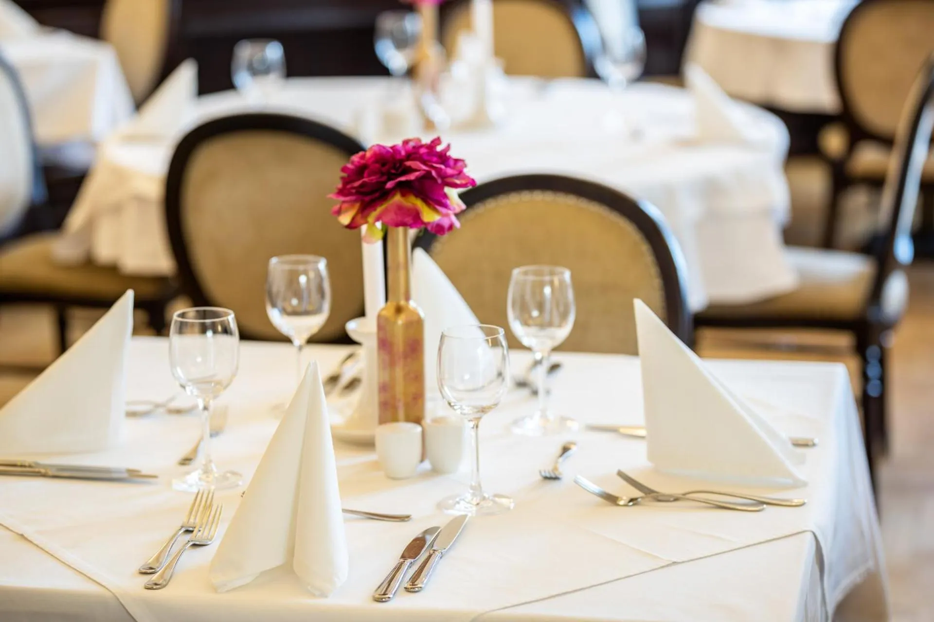 Restaurant/places to eat in La Contessa Castle Hotel