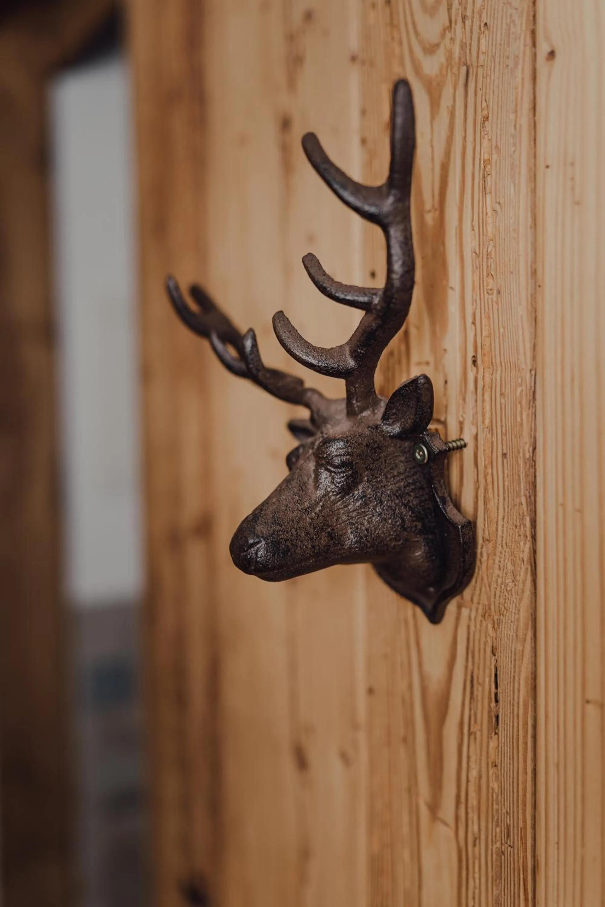 Property building in Hotel Forsthof