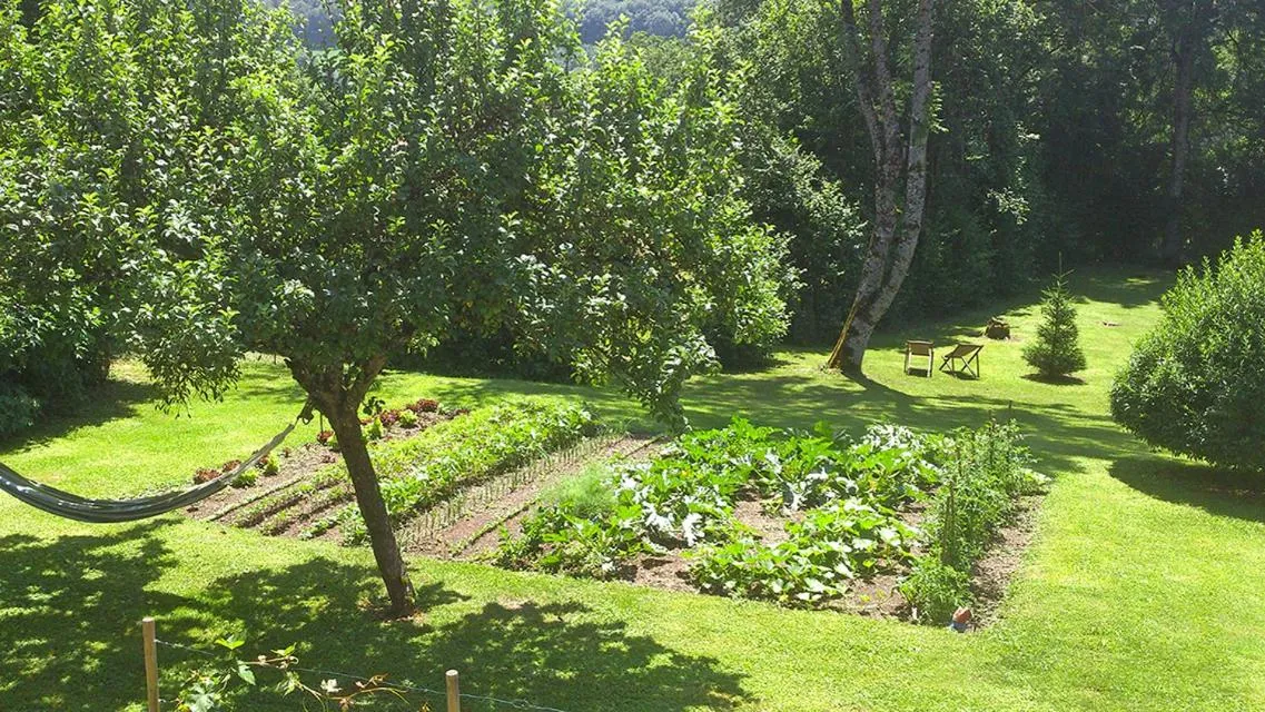 Natural landscape in L'OURSERIE Bed & Breakfast