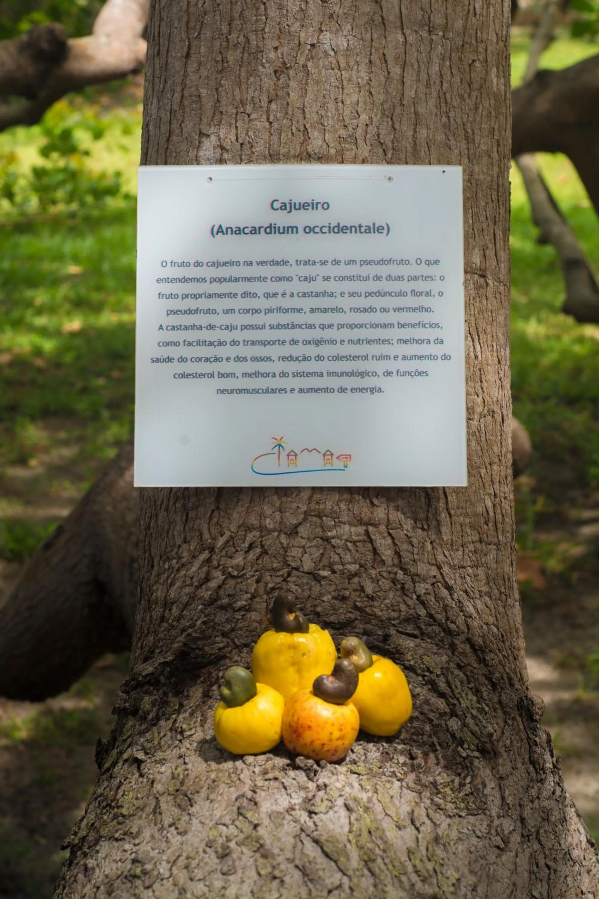 Decorative detail in Ciamat Camp