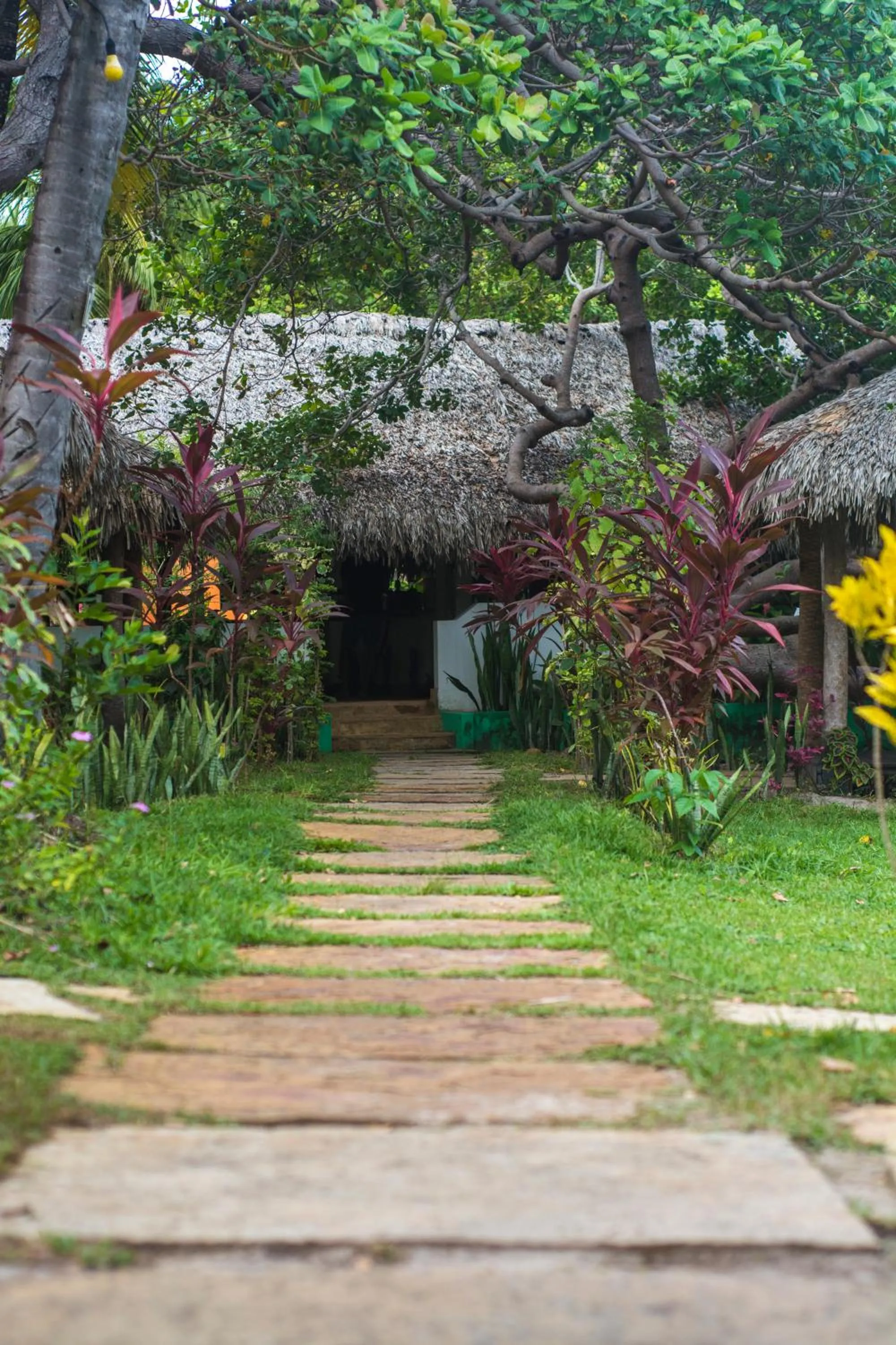 Natural landscape in Ciamat Camp