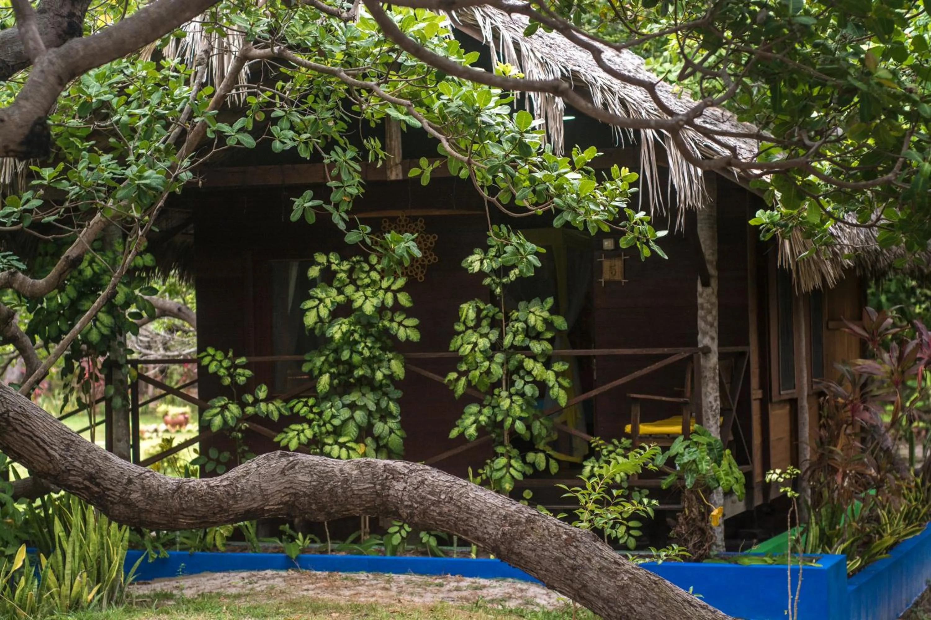 Natural landscape in Ciamat Camp