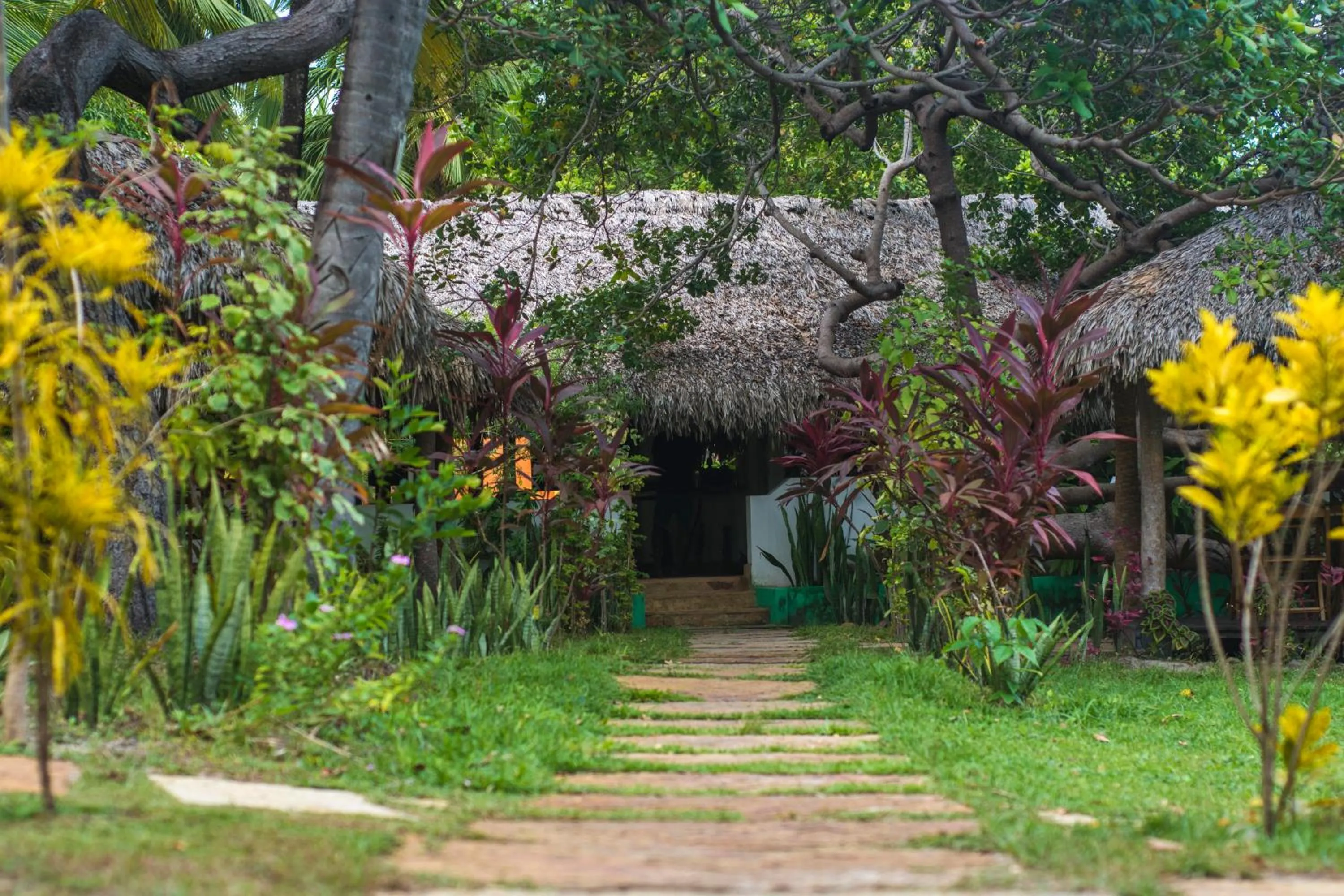 Spring in Ciamat Camp