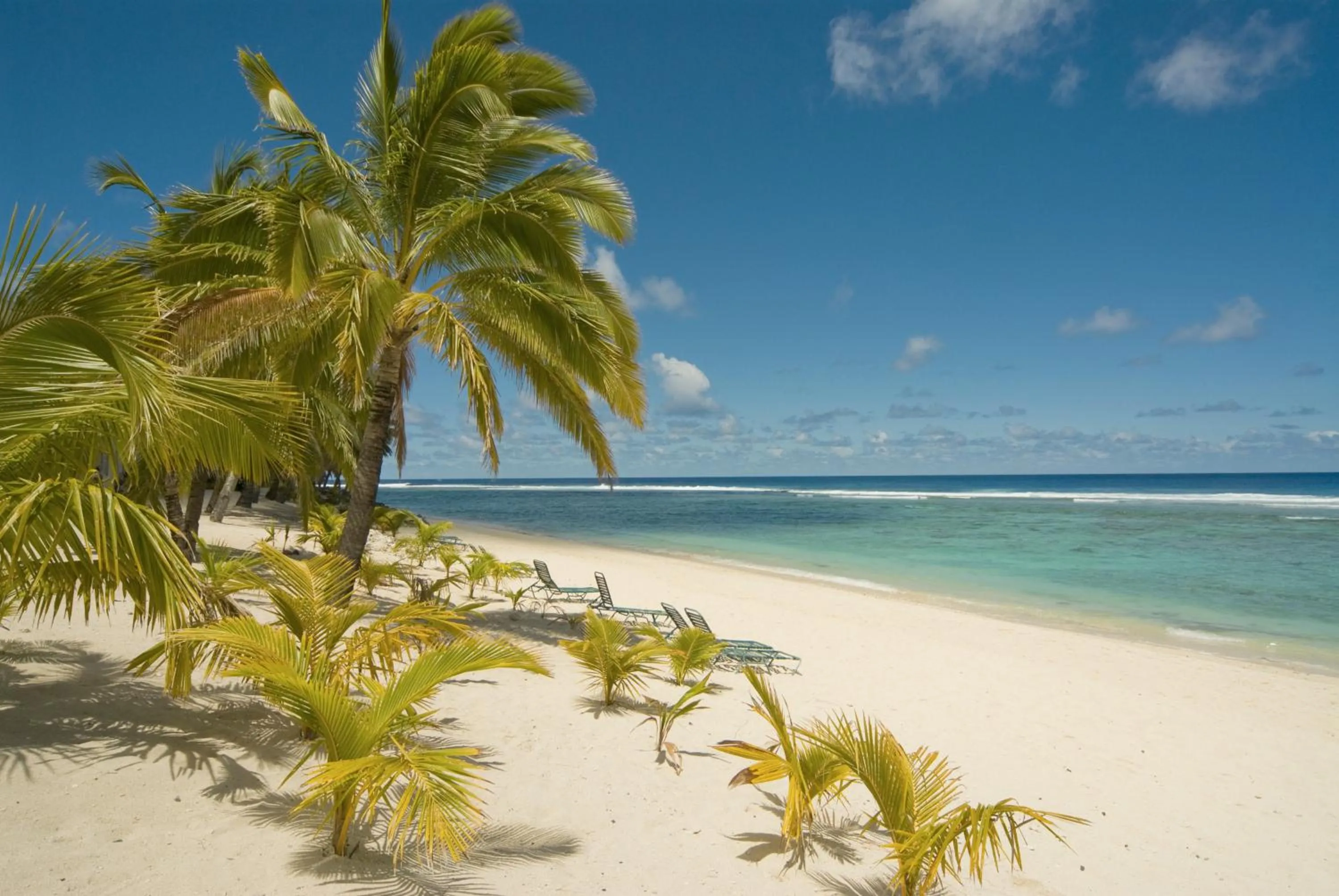Beach in The Edgewater Resort & Spa