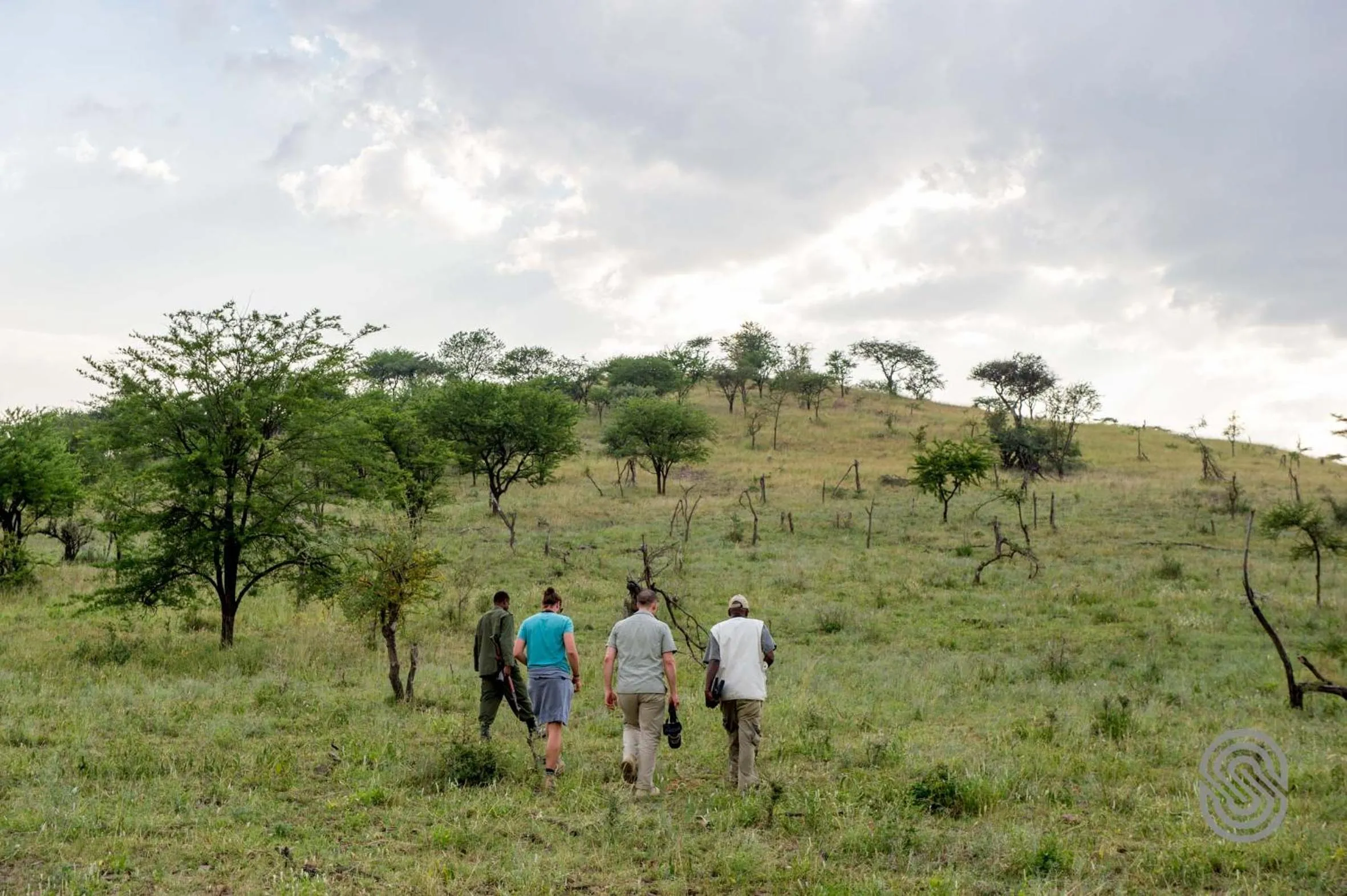 Activities in Serengeti Serena Safari Lodge