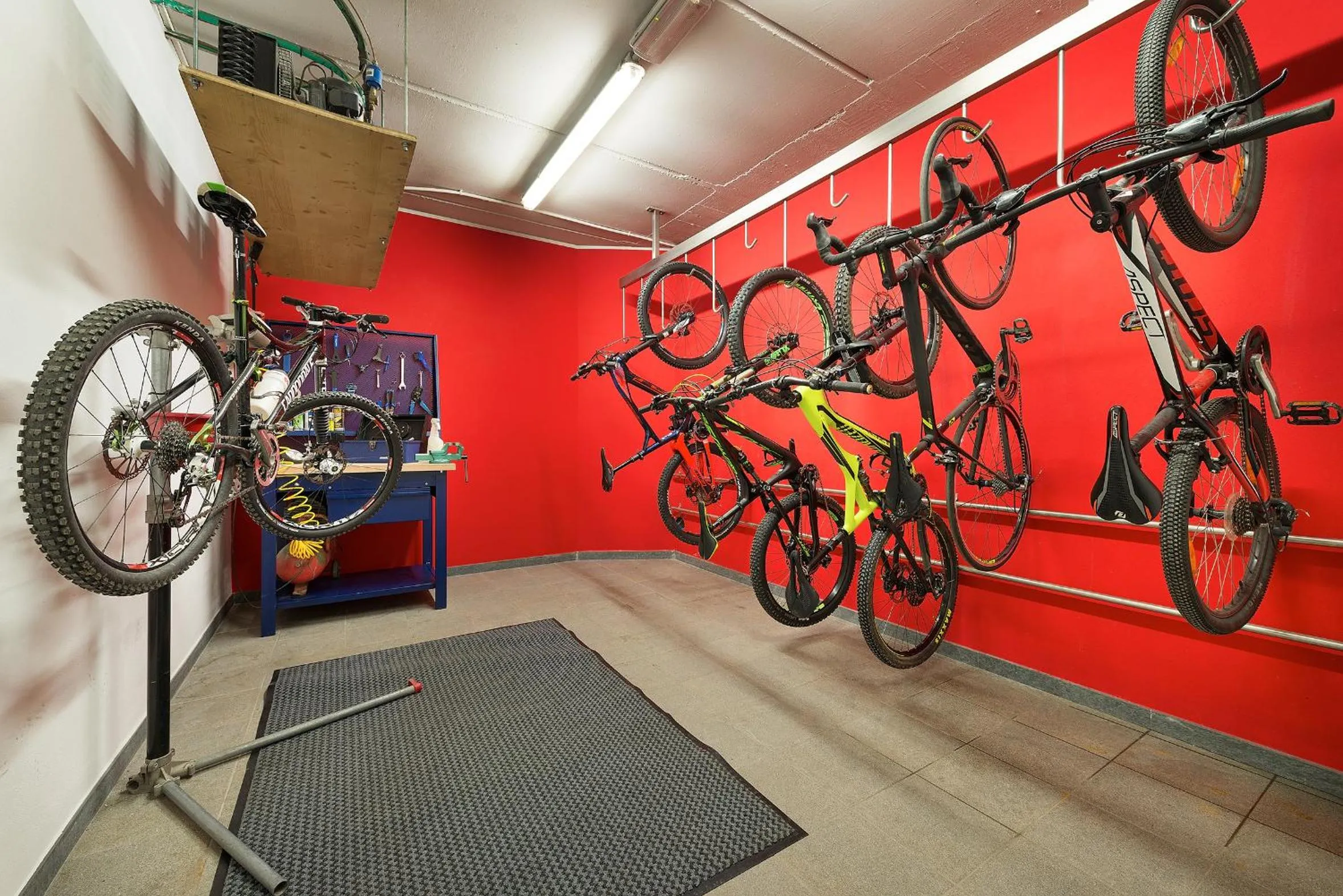 Cycling in Hotel Astra