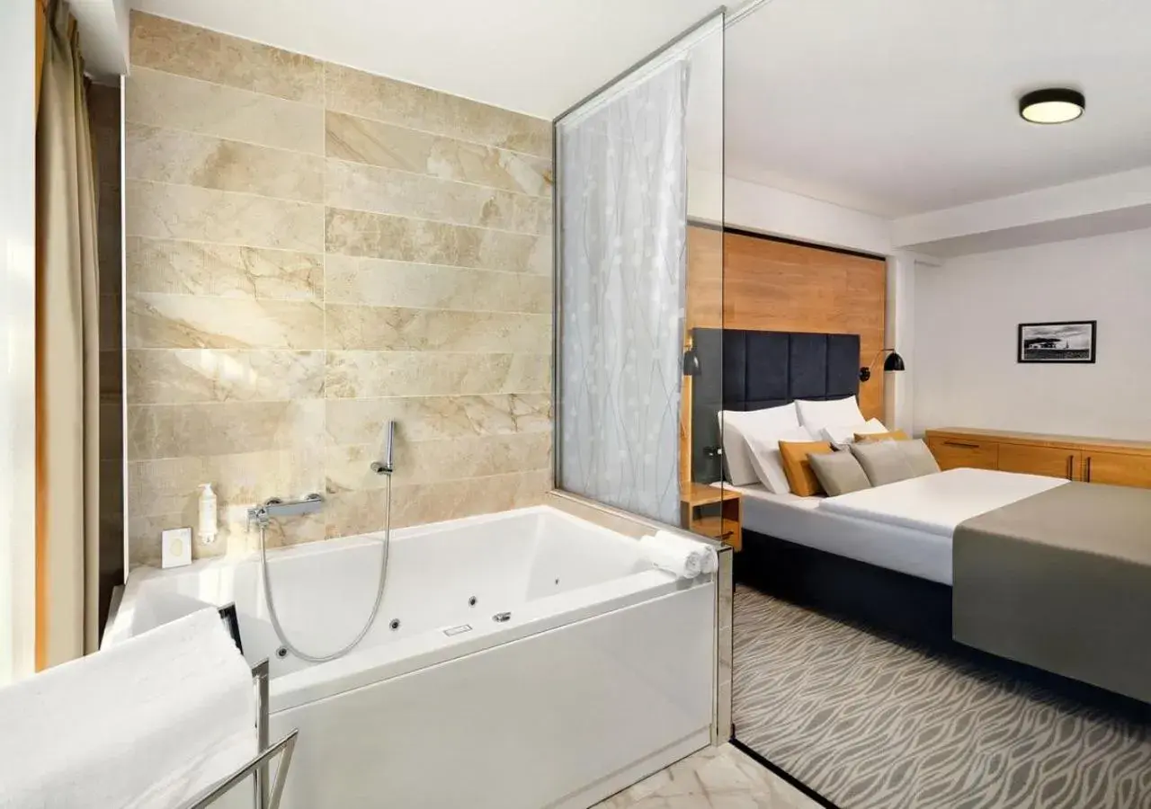 Gallery Double Room - single occupancy in Hotel Galeria Thermal Bešeňová Gallery Double Room - single occupancy in Hotel Galeria Thermal Bešeňová