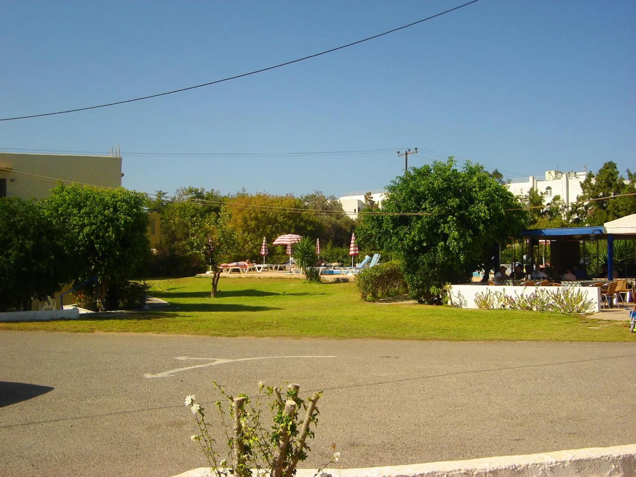 Garden in Angelos Studios