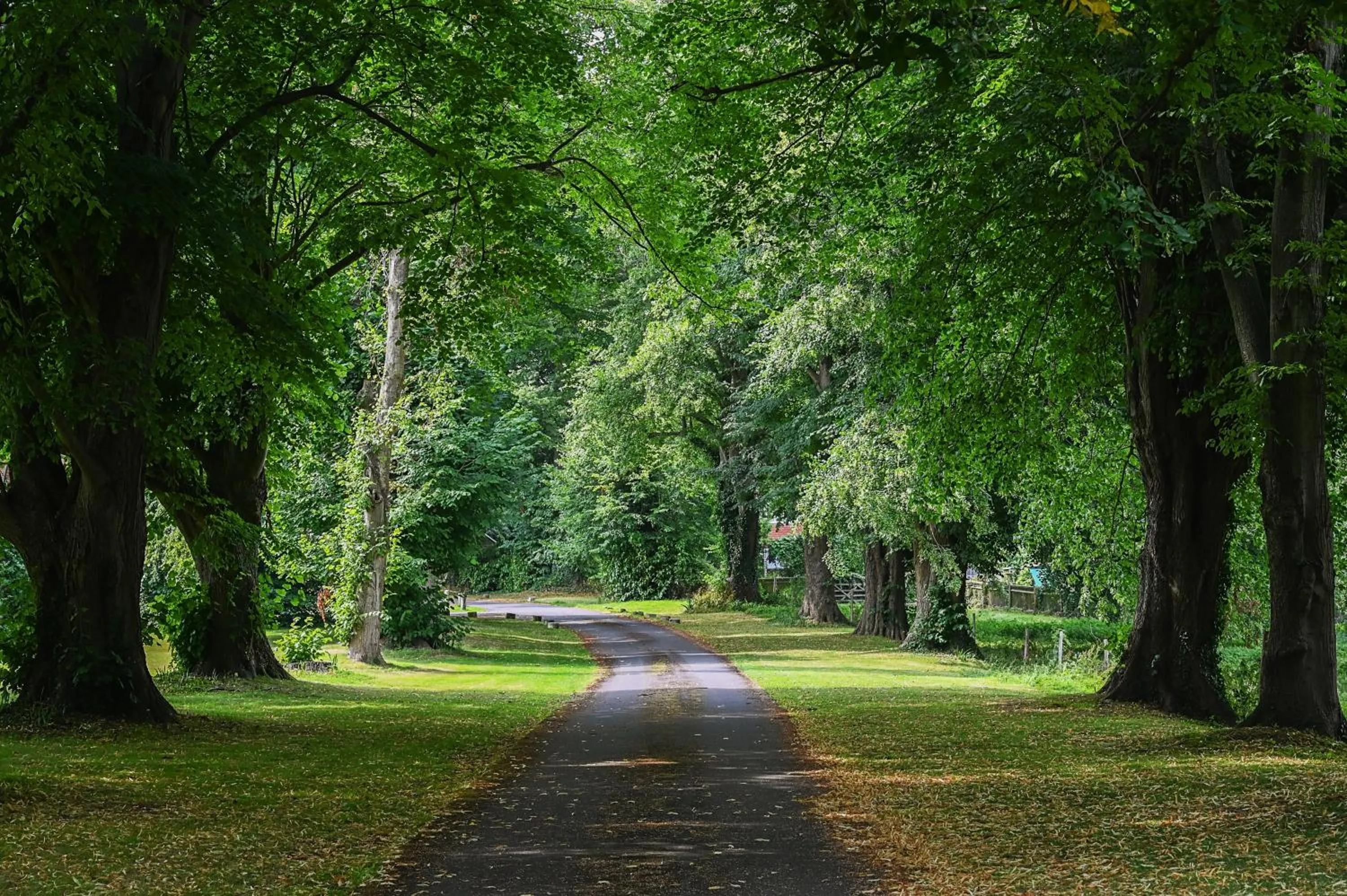 Property building in Saltcote Place