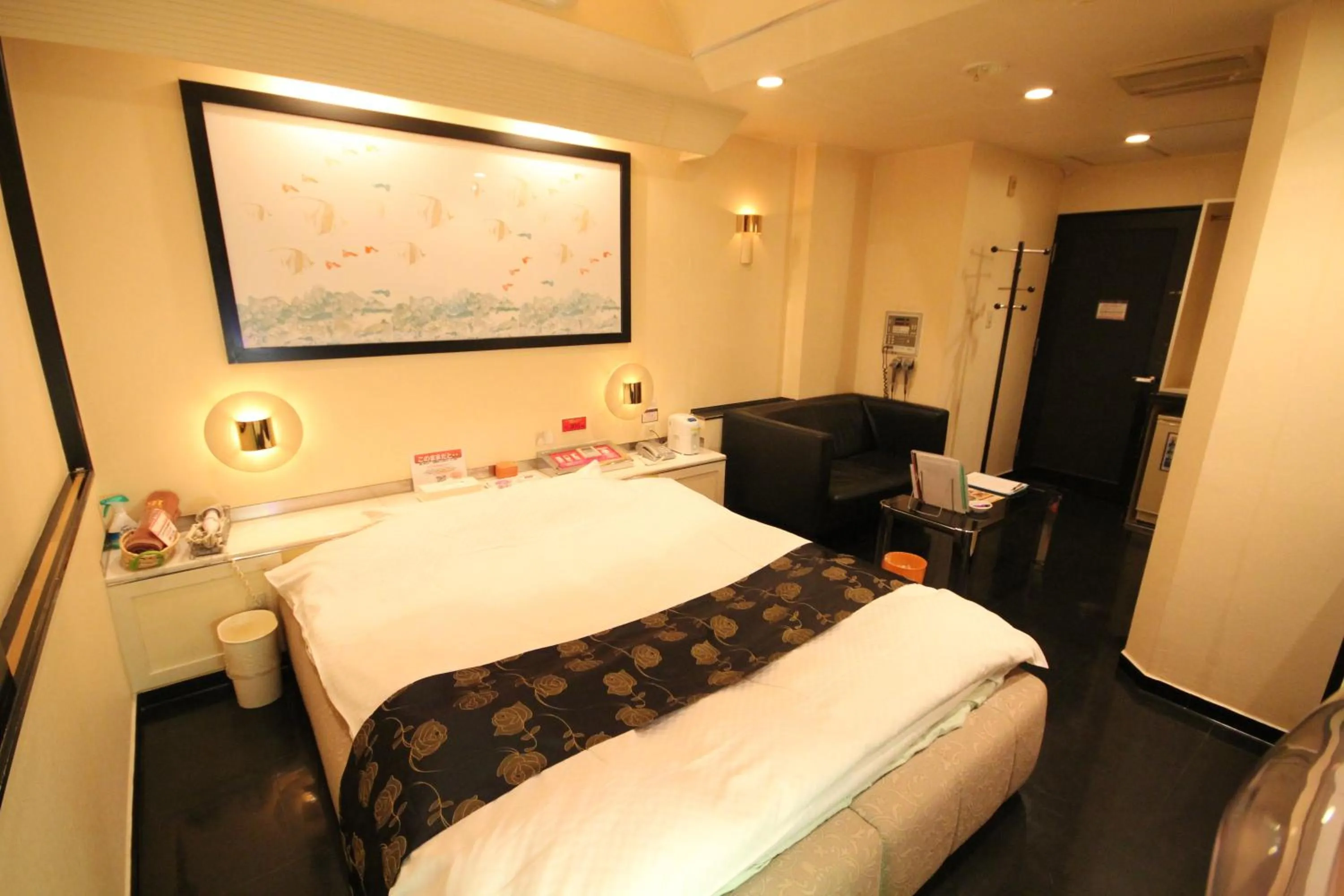 Photo of the whole room in Hotel Dressy (Adult Only)