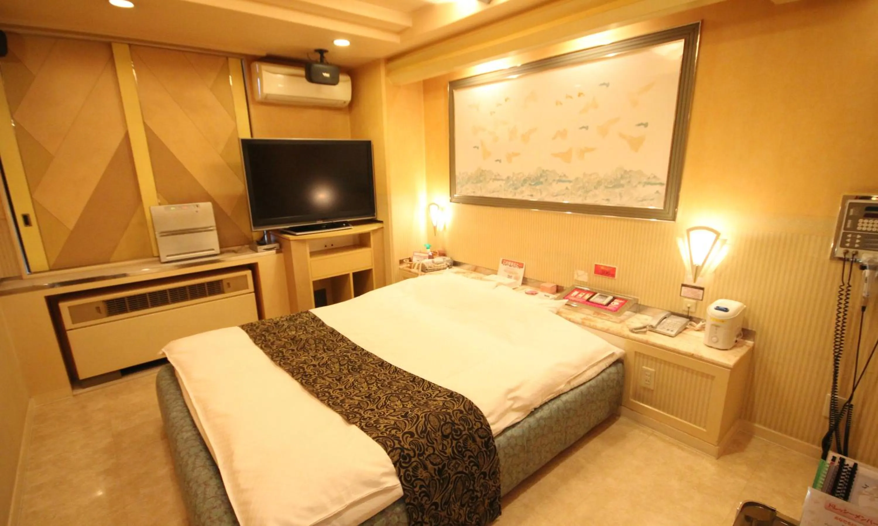 Photo of the whole room in Hotel Dressy (Adult Only)