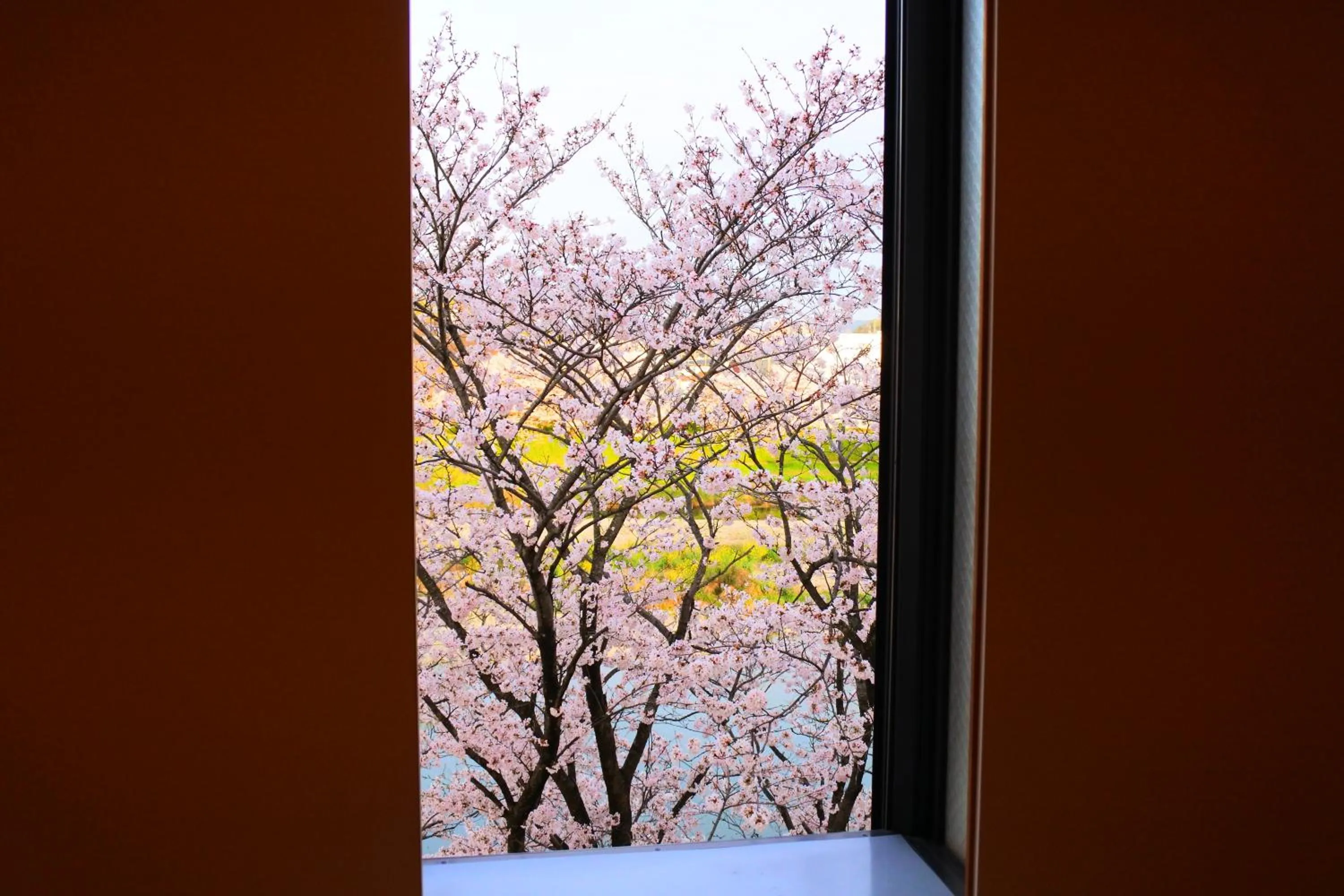 View (from property/room) in Hotel Dressy (Adult Only)