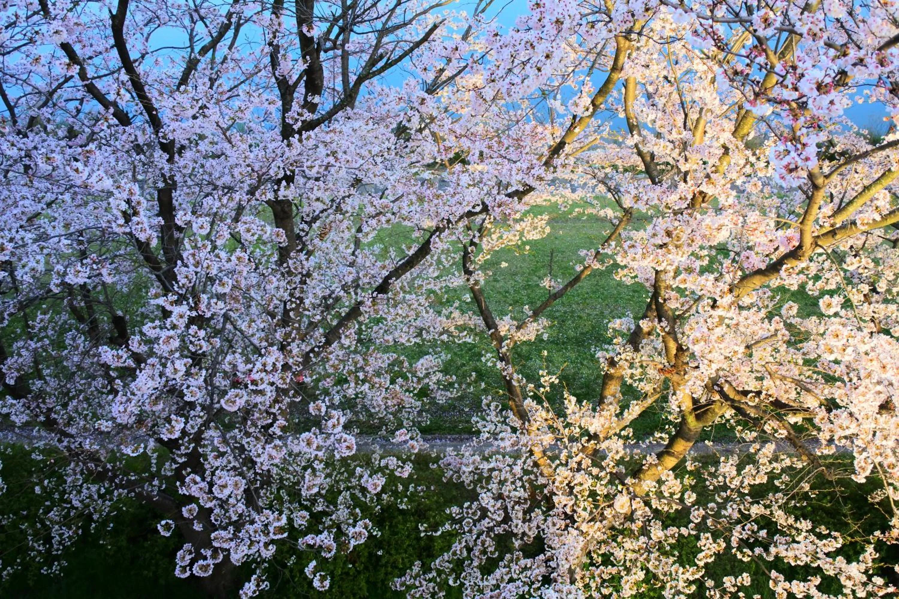 View (from property/room) in Hotel Dressy (Adult Only)