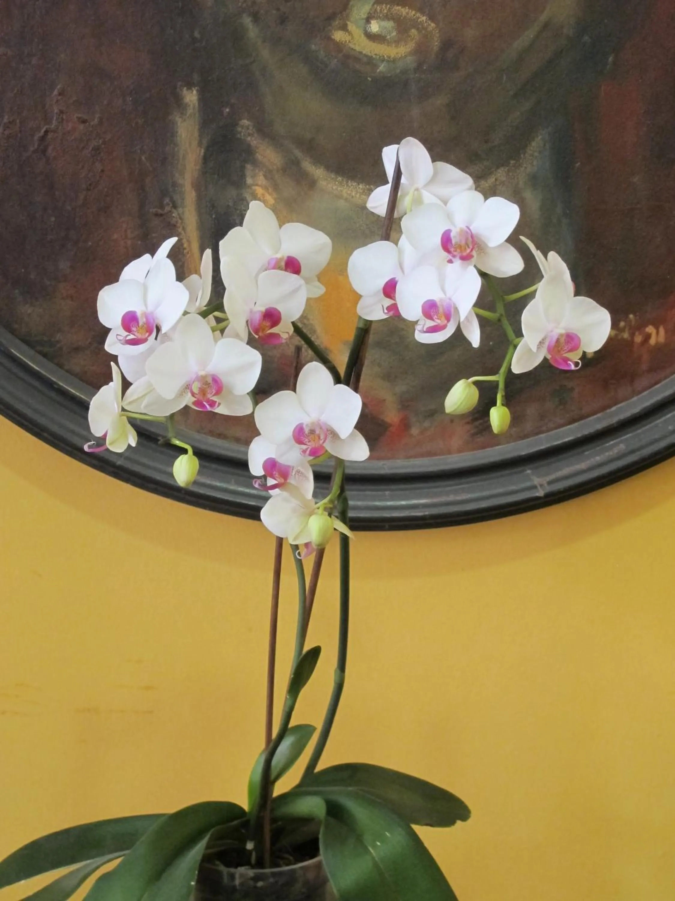 Decorative detail in Hotel Ciudad De Calahorra