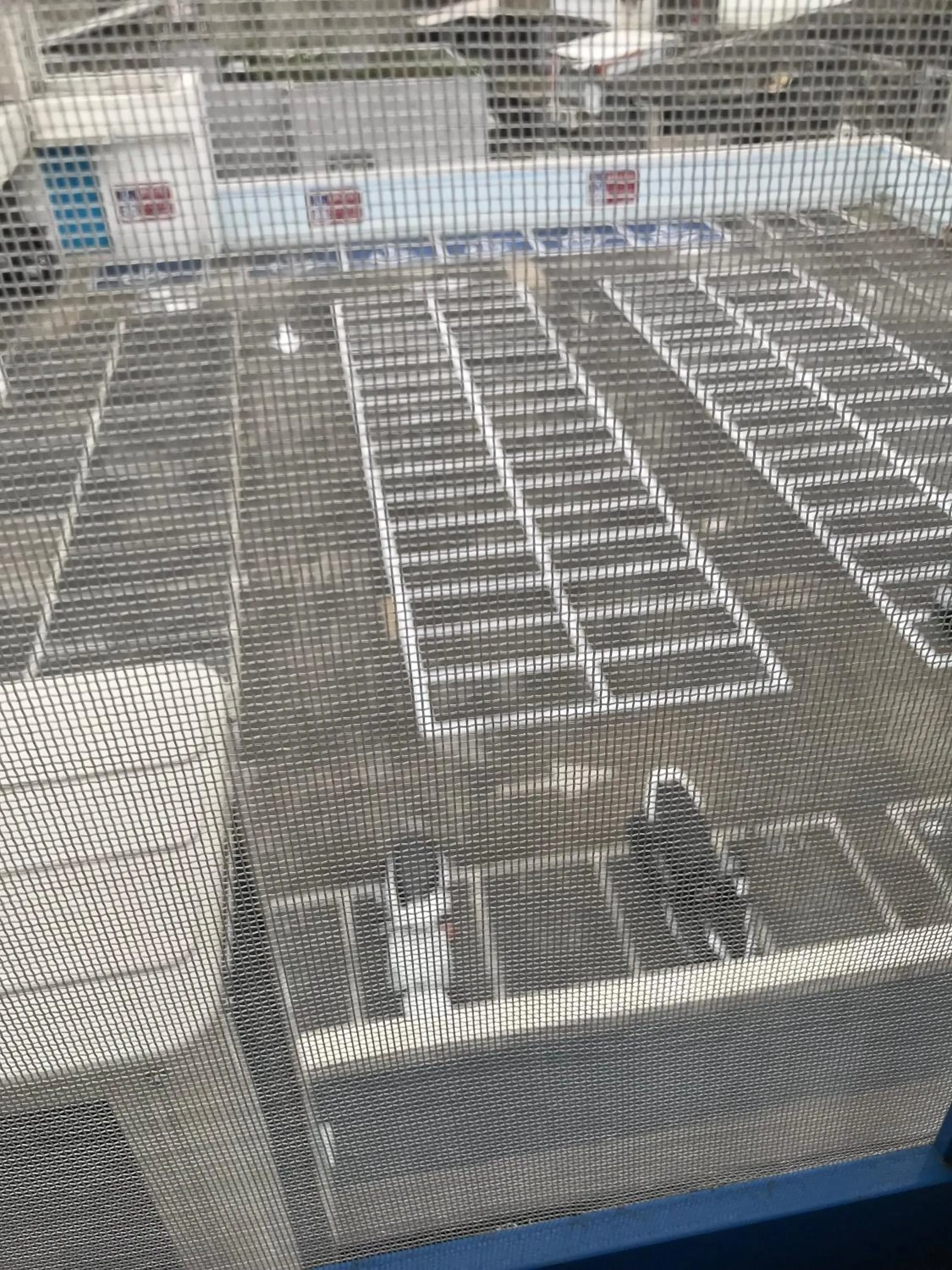 Tourist Bunny Hostel