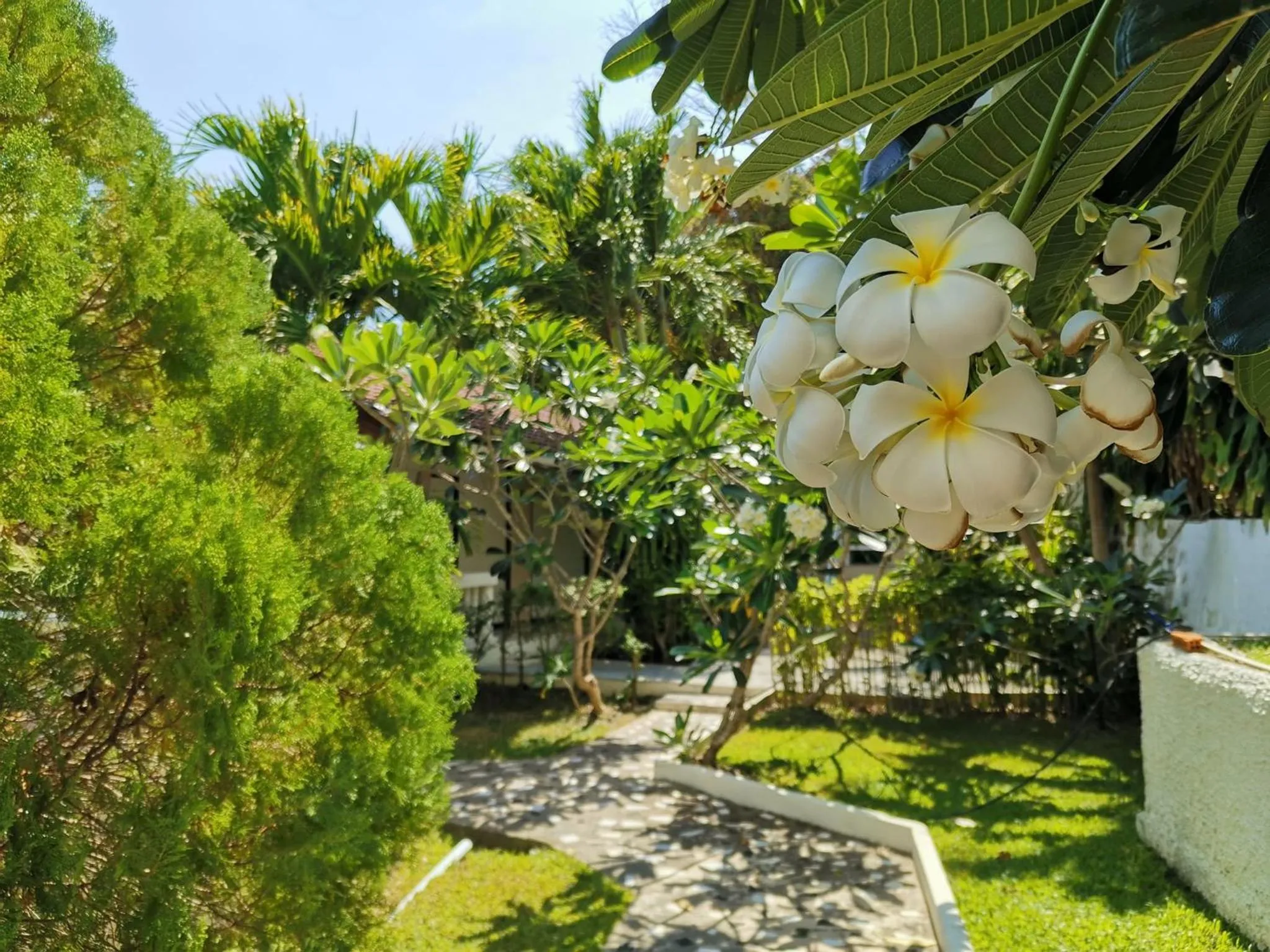 Garden in On The Hill Karon Resort