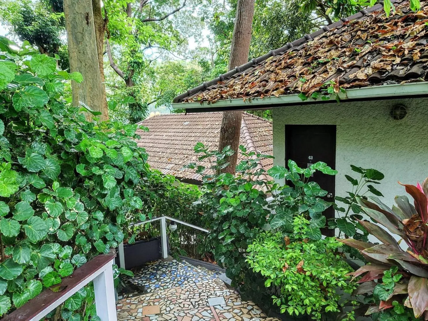 Property building in On The Hill Karon Resort