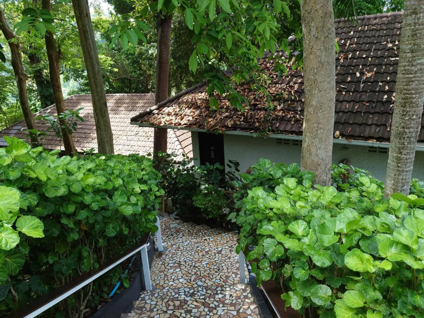 Property building in On The Hill Karon Resort