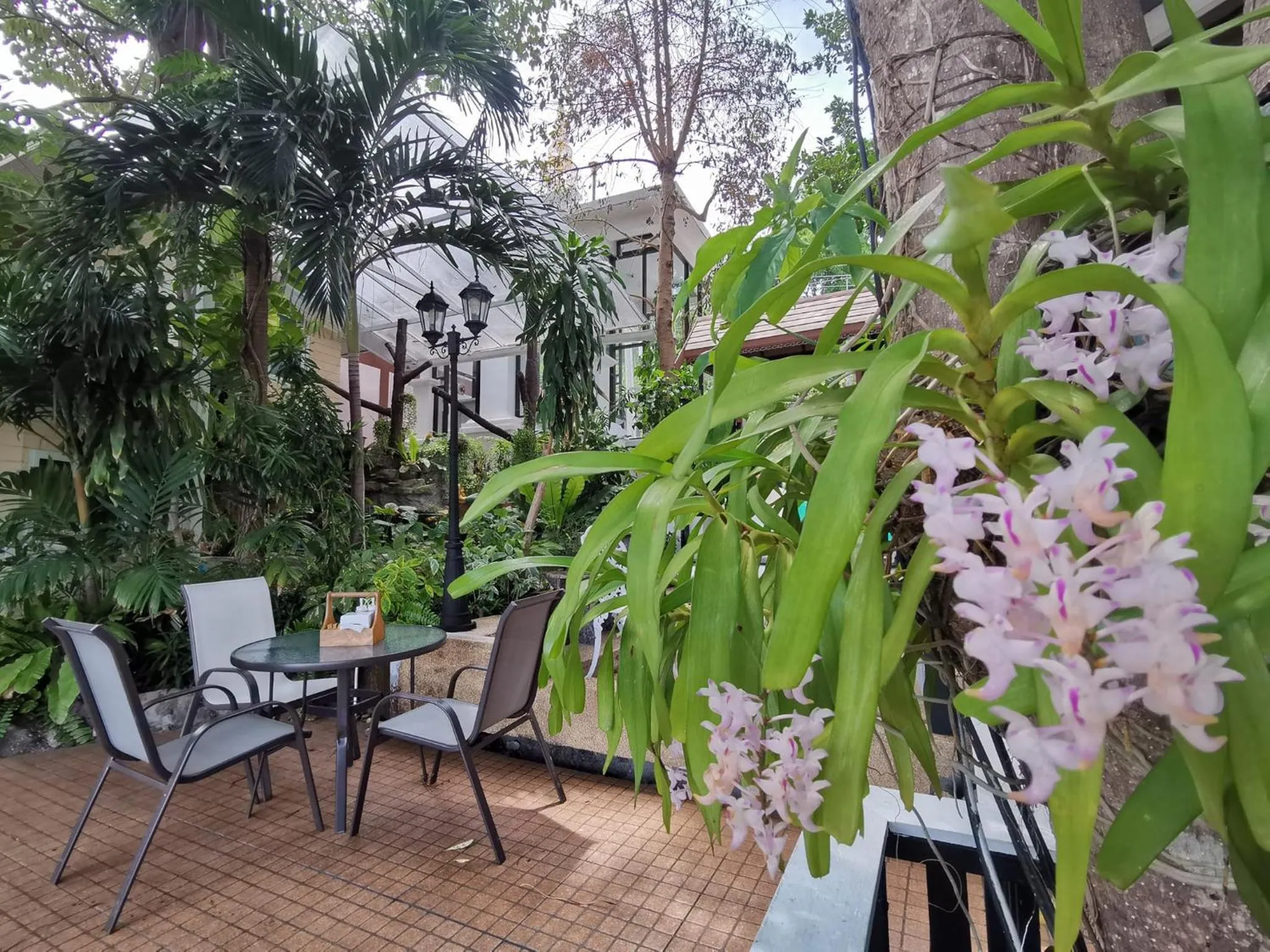 Restaurant/places to eat in On The Hill Karon Resort