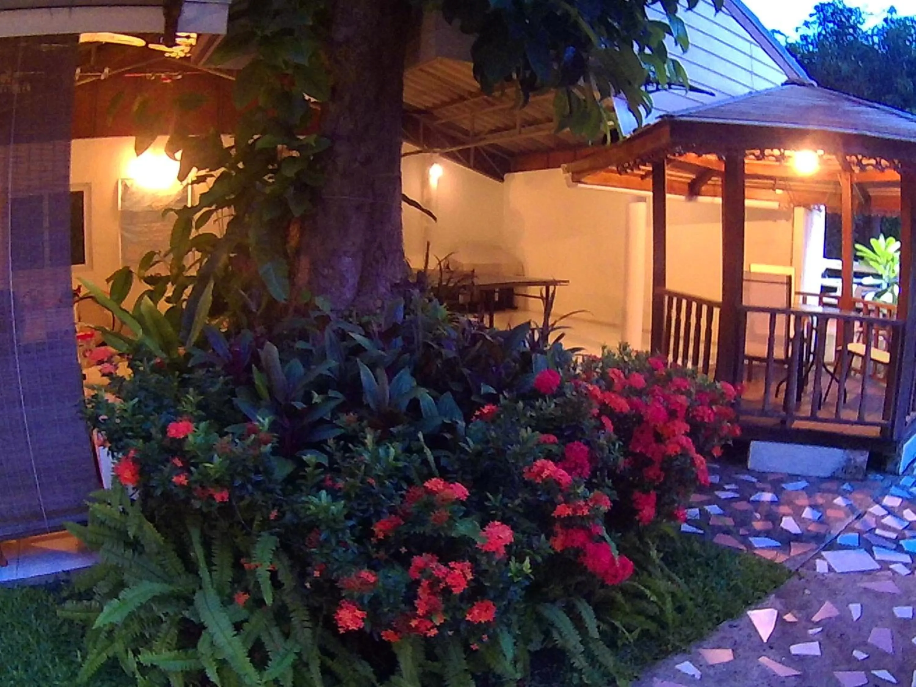 Garden in On The Hill Karon Resort