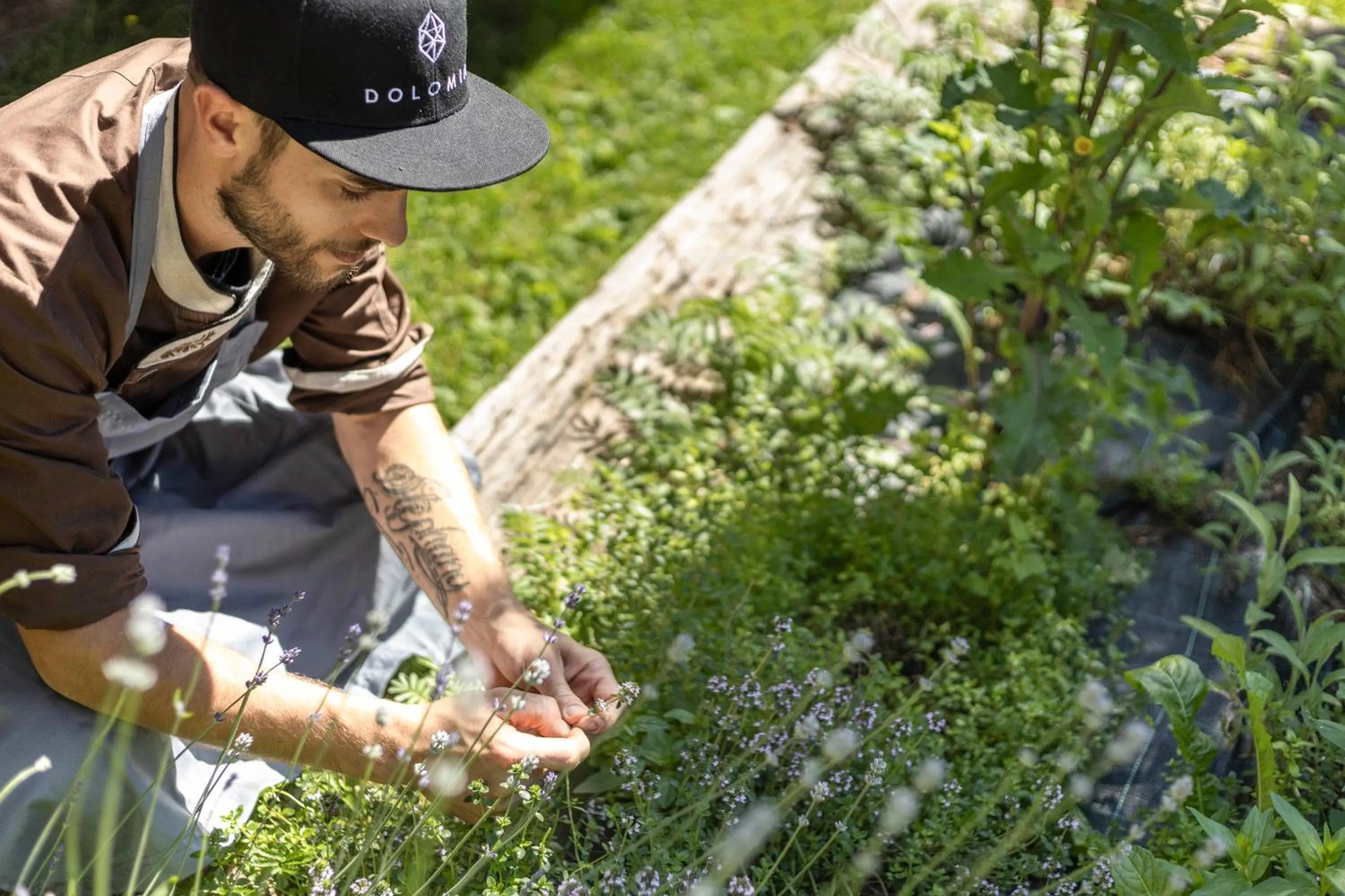 Staff in Wellness Hotel Dolomia