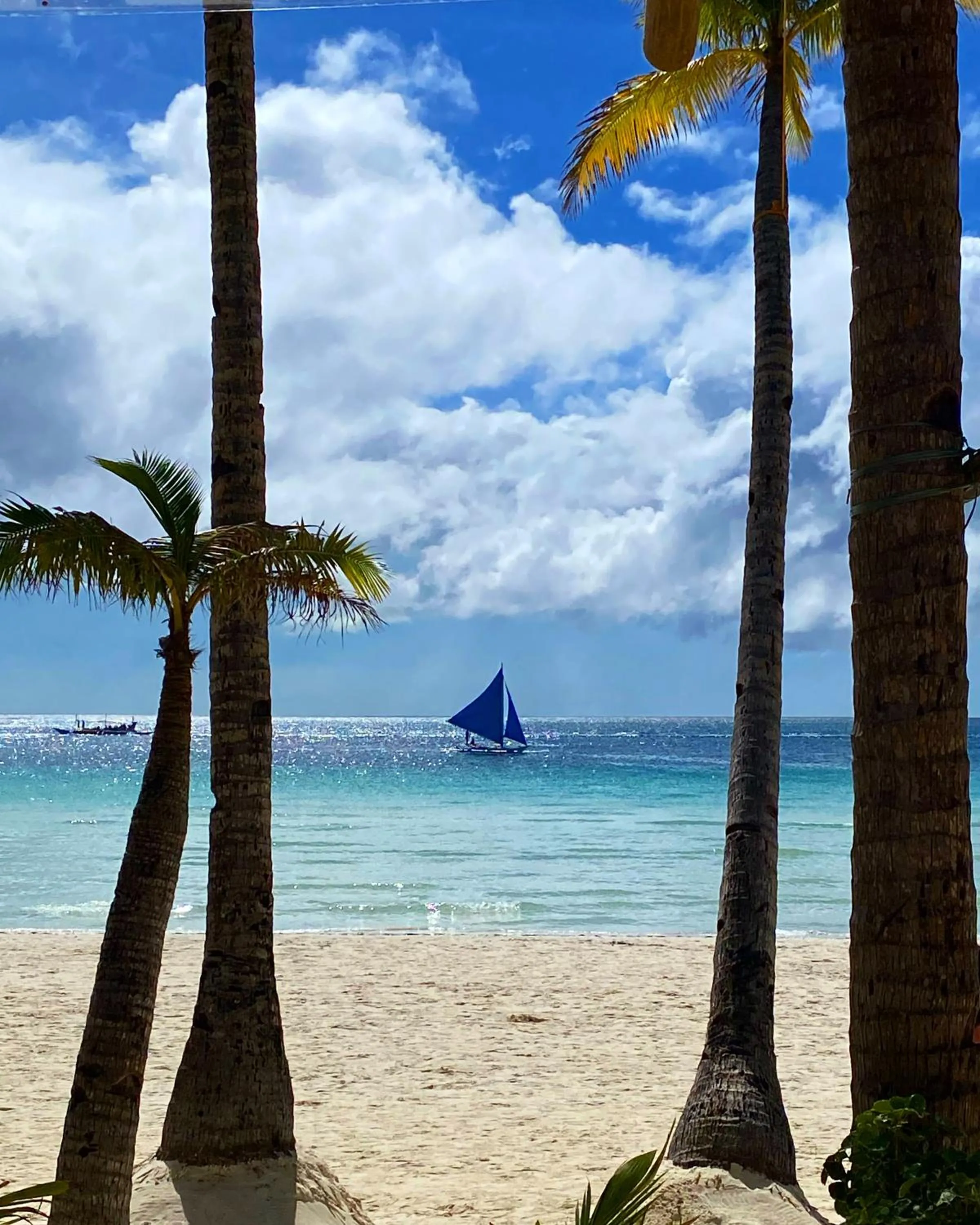 Beach in Urban Boutique Hotel