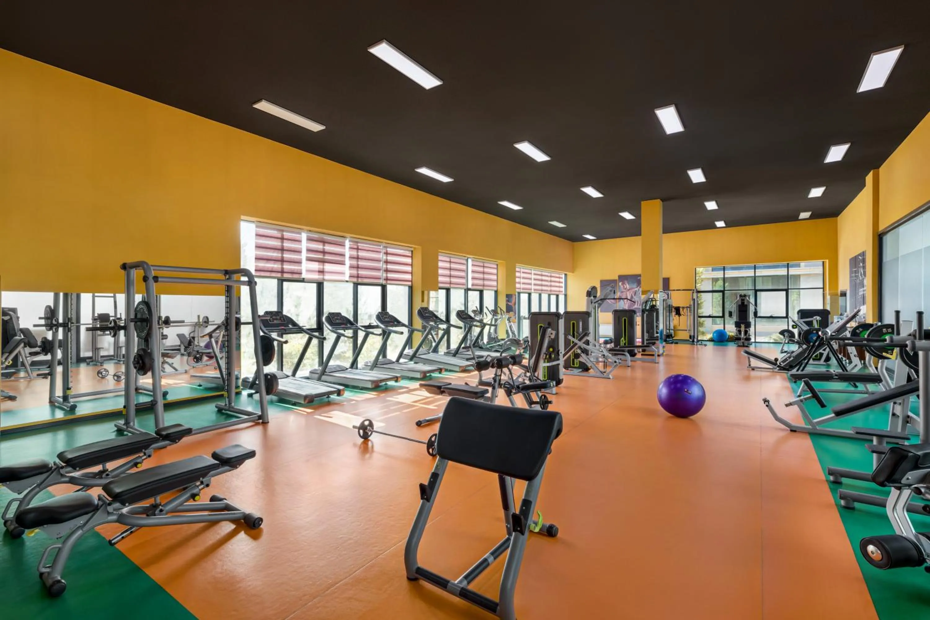 Spa and wellness centre/facilities in Wyndham Baku