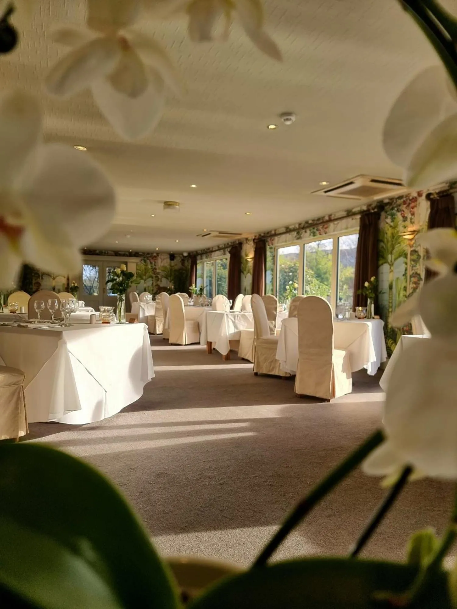 Restaurant/places to eat in Gibbon Bridge Hotel