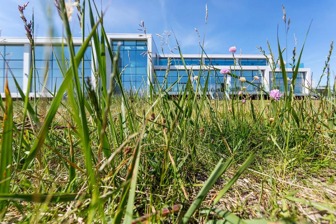 Property building in Storebælt Sinatur Hotel & Konference