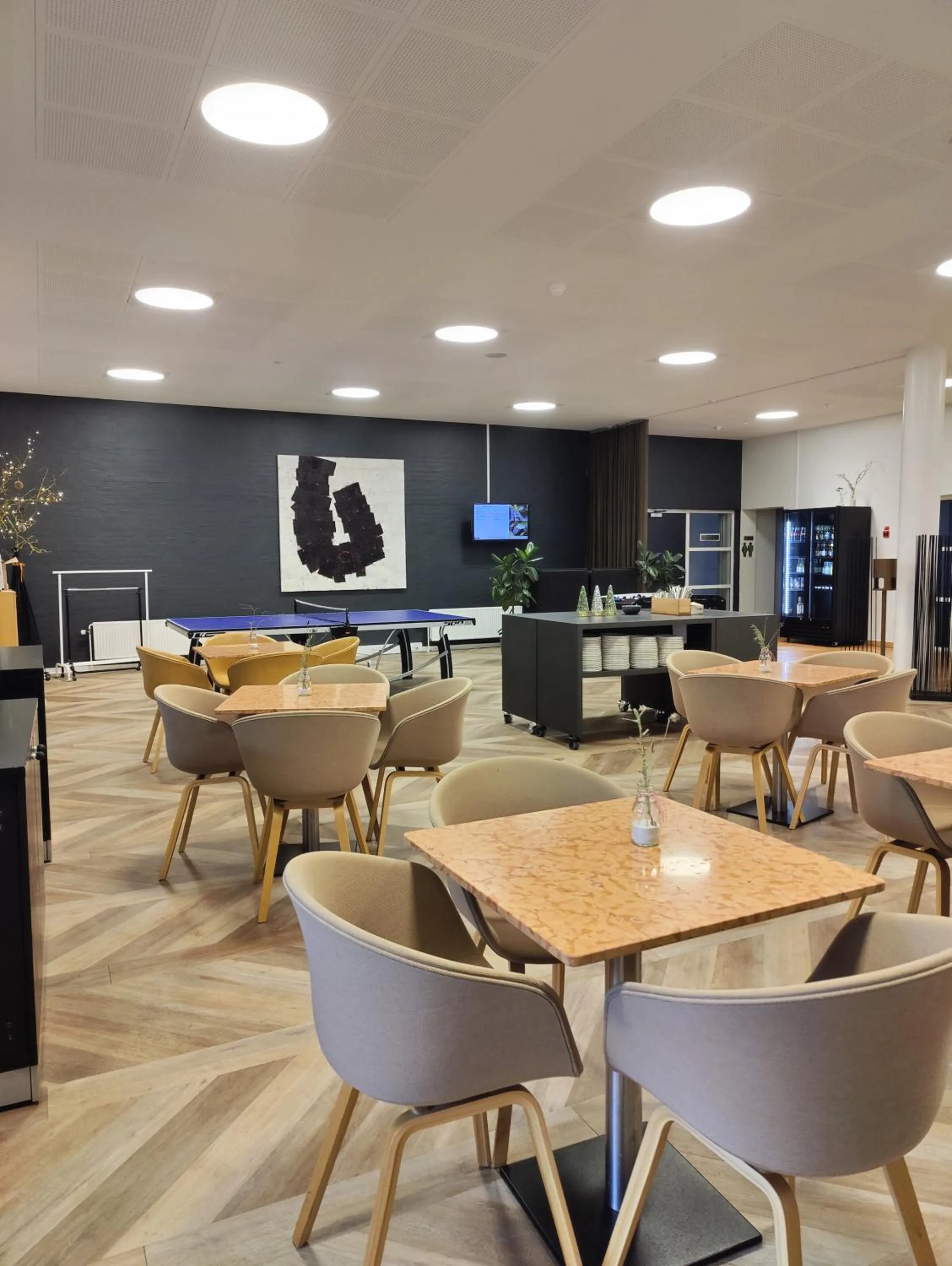 Communal lounge/ TV room in Storebælt Sinatur Hotel & Konference