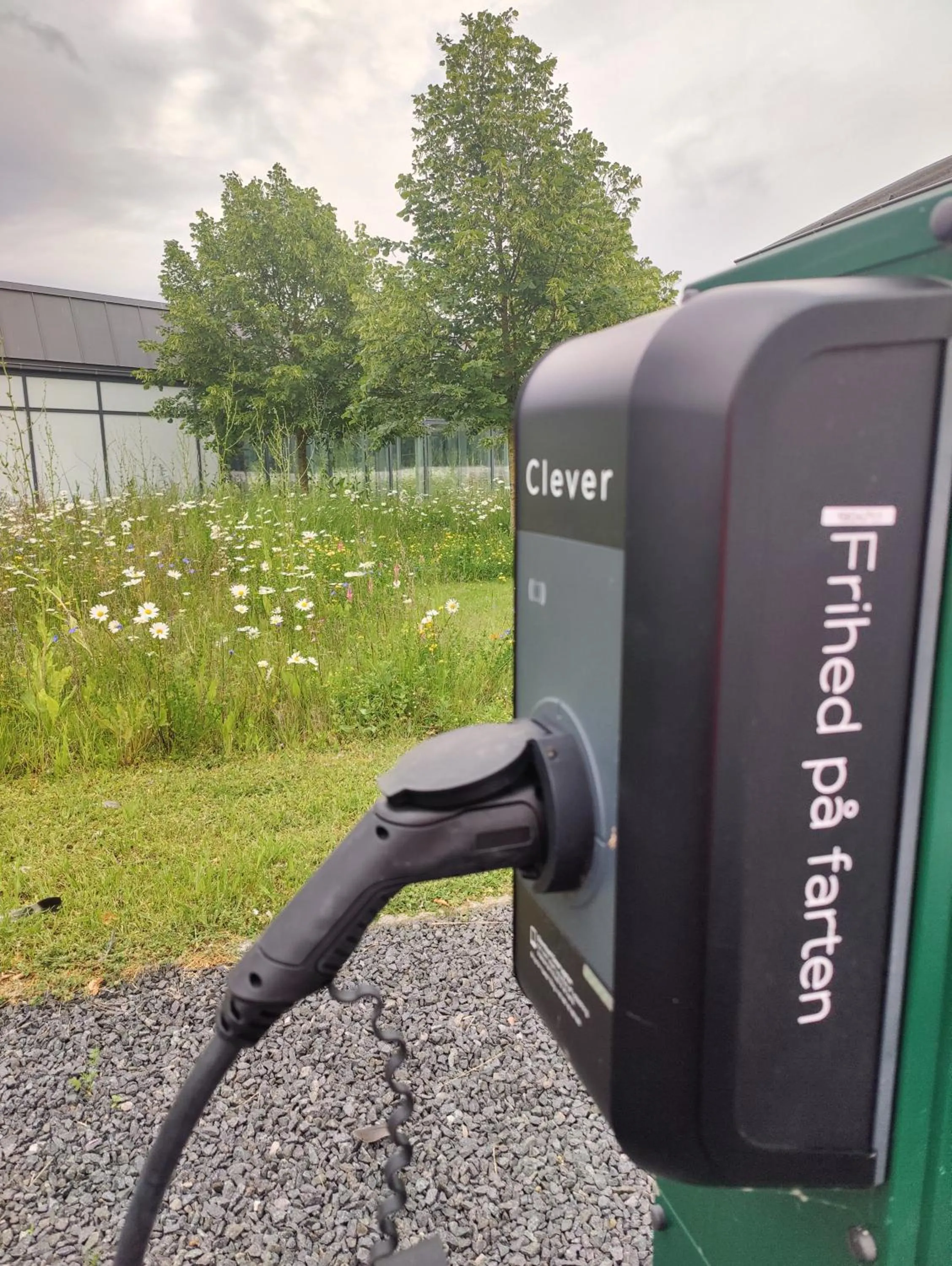 Other in Storebælt Sinatur Hotel & Konference