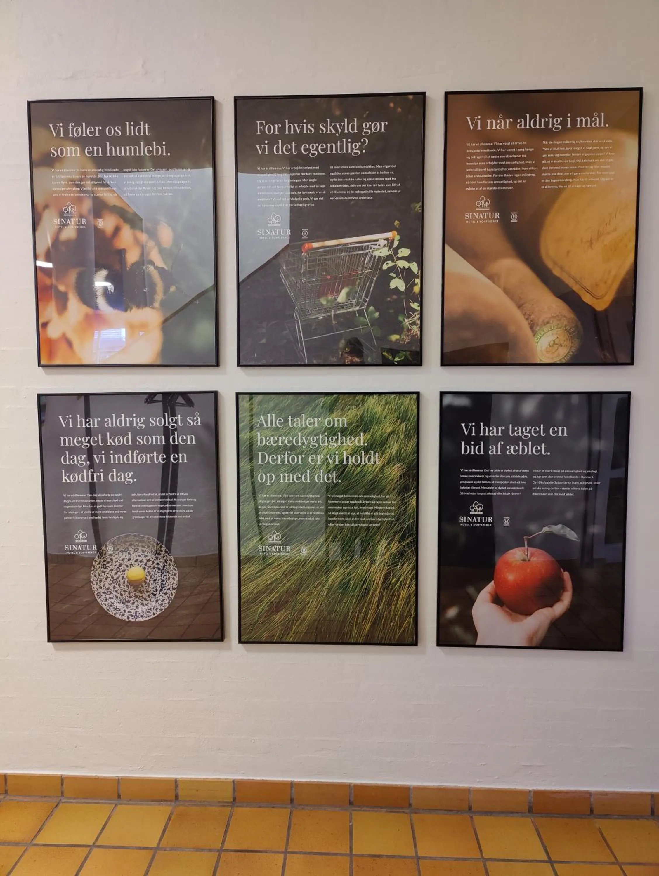 Area and facilities in Storebælt Sinatur Hotel & Konference