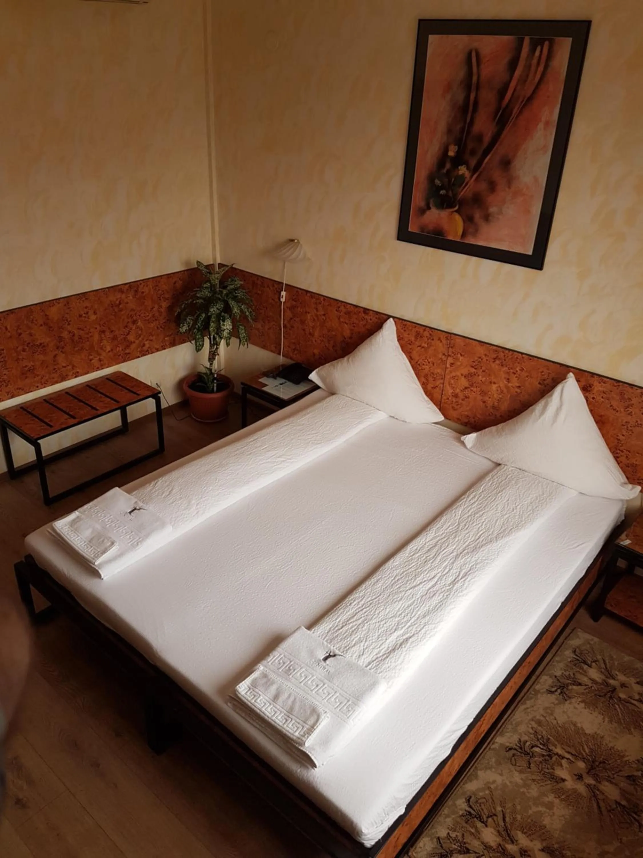 View (from property/room), Bed in Hotel Central